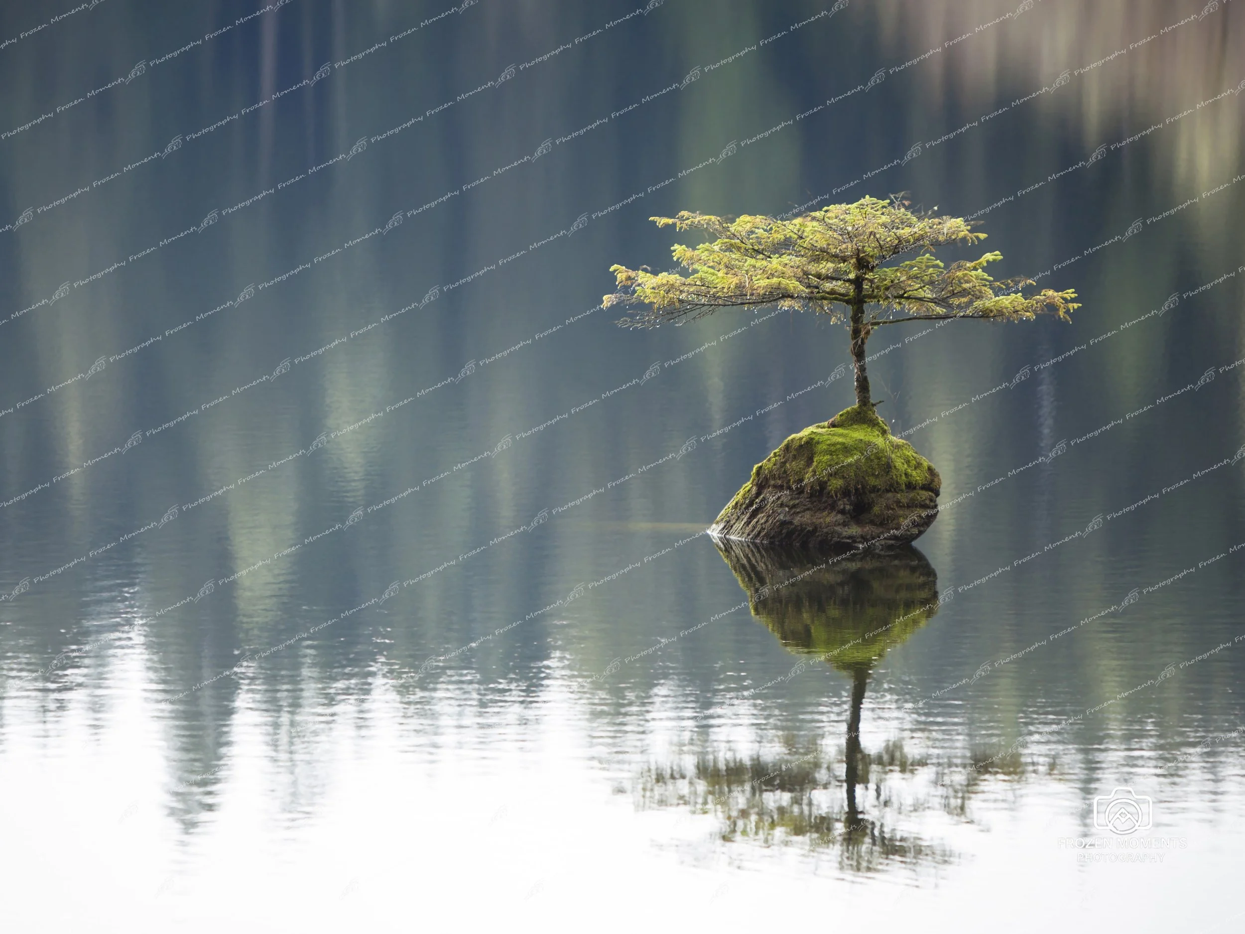 Fairy Lake