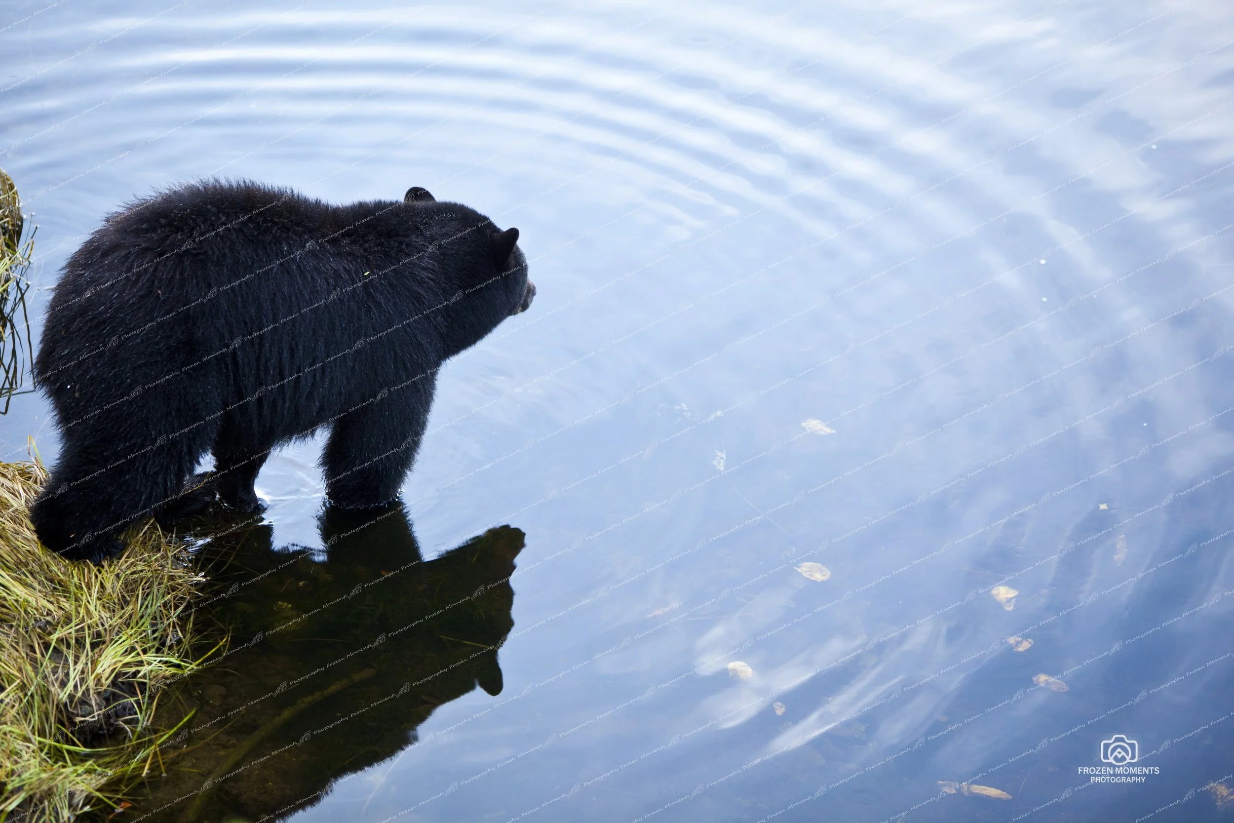 Reflecting