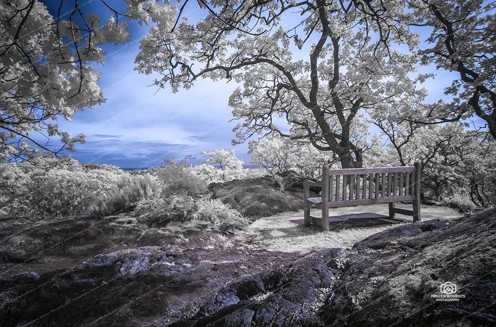 A Quiet Spot