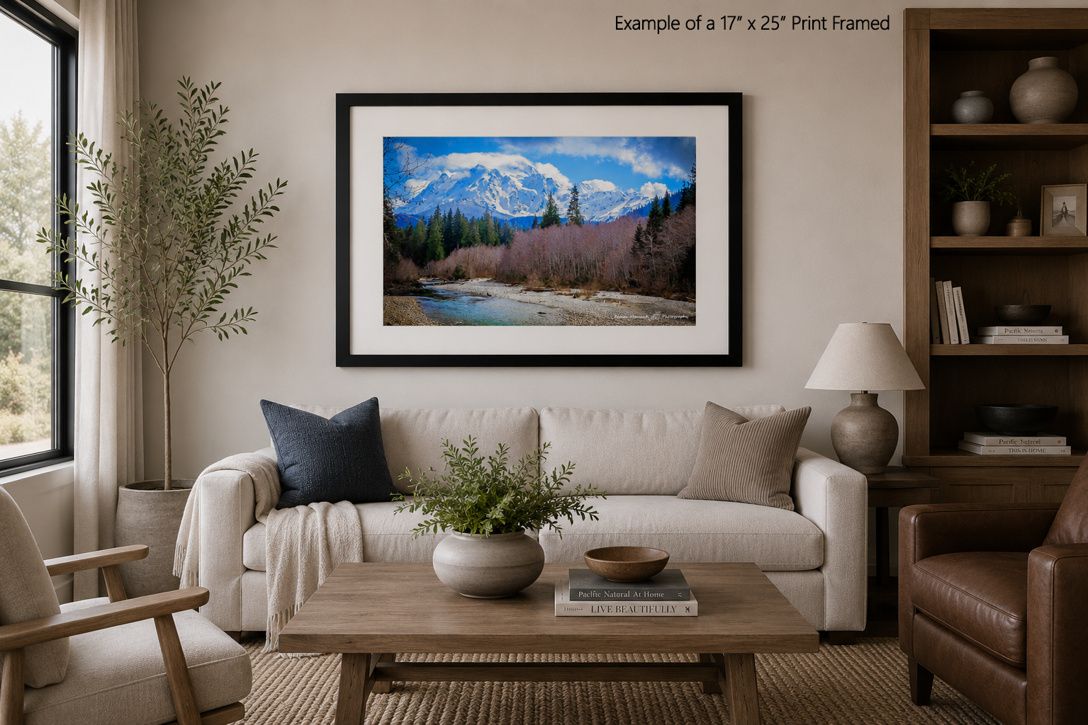 Mt. Baker example.png