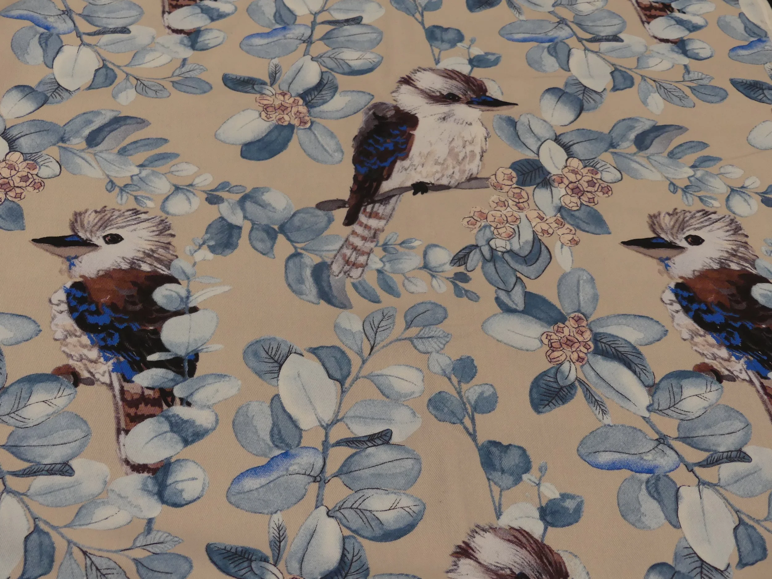 Scrub Top - Size M - Kookaburra