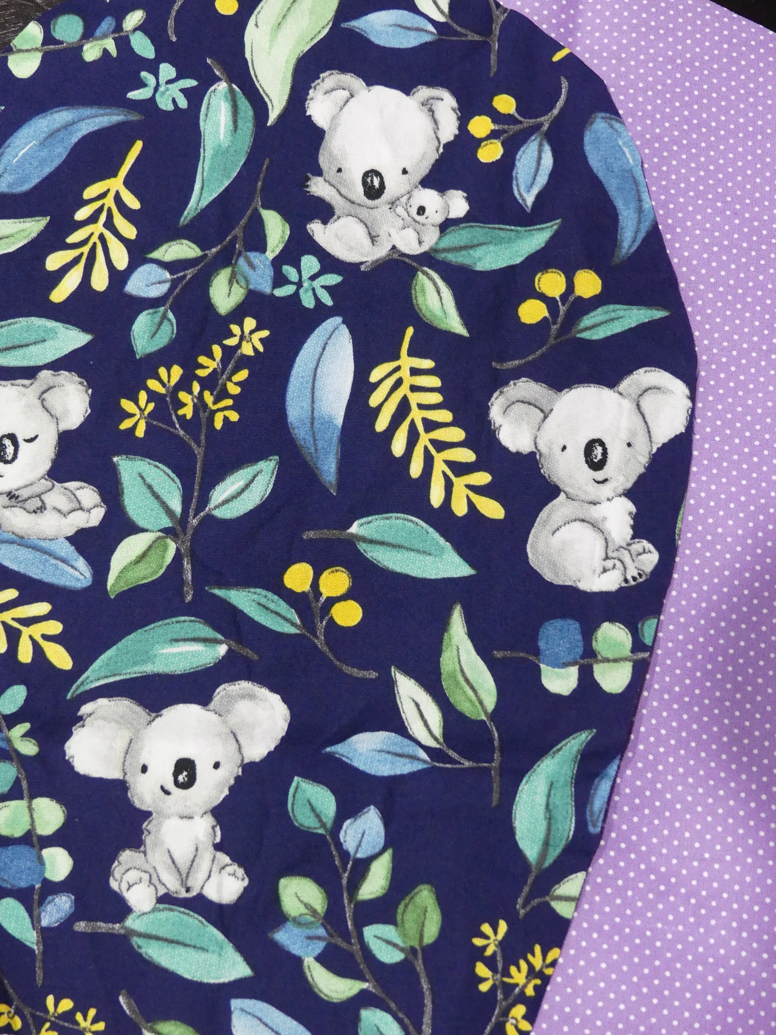 Scrub Cap - Koala - Purple Spot