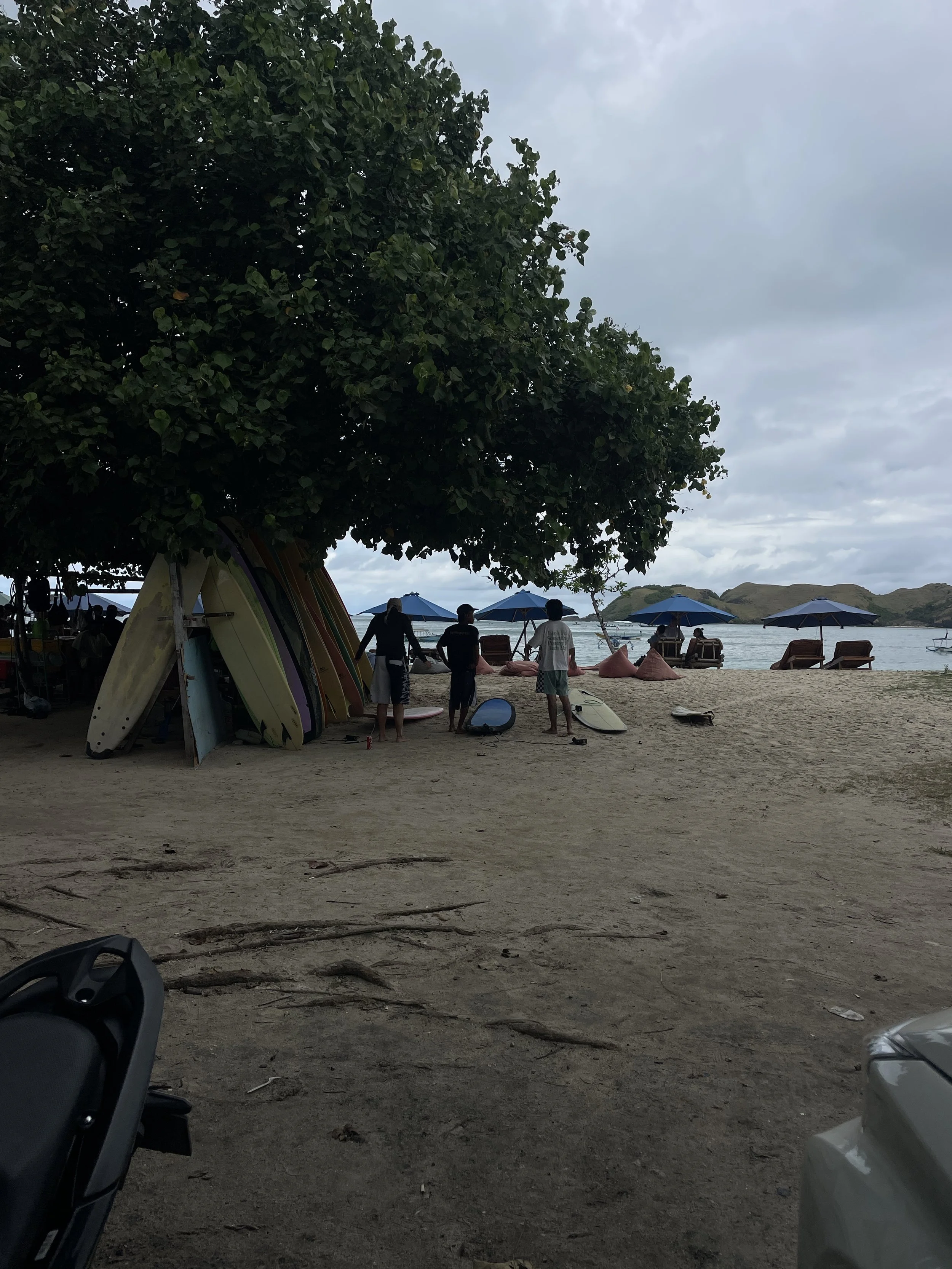 A beach scene with a large tree in the foreground providing shade. Under the tree, several surfboards are stacked upright. People are seen walking and relaxing near the water, which has blue umbrellas and lounge chairs. Hills are visible in the background under a cloudy sky.