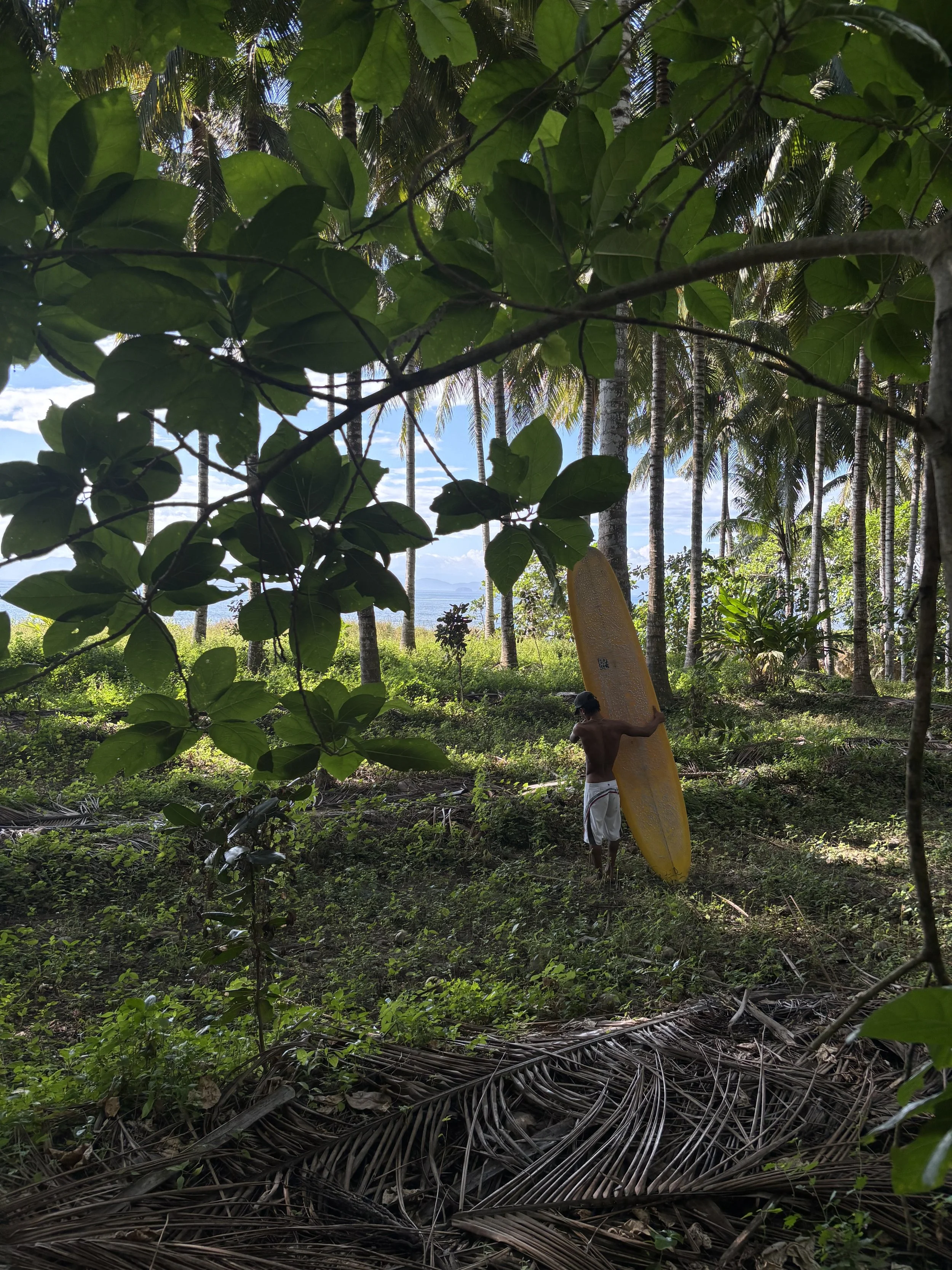 A man holding a yellow surfboard stands in a tropical forest with palm trees and lush green foliage, with the ocean visible in the background.
