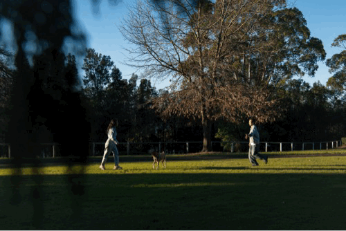 Image.gif