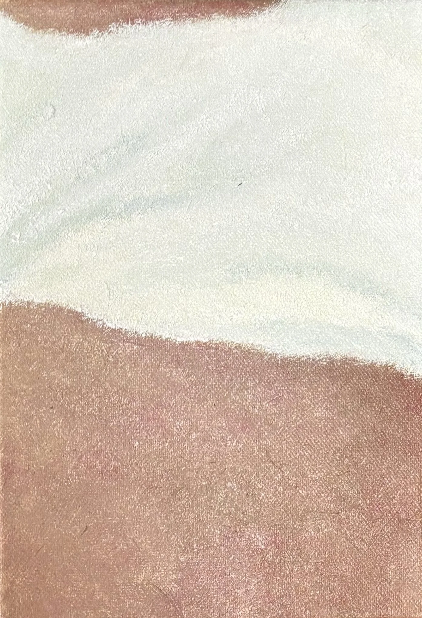 Brandy Melville, 2026, oil on canvas, 34 × 25 cm