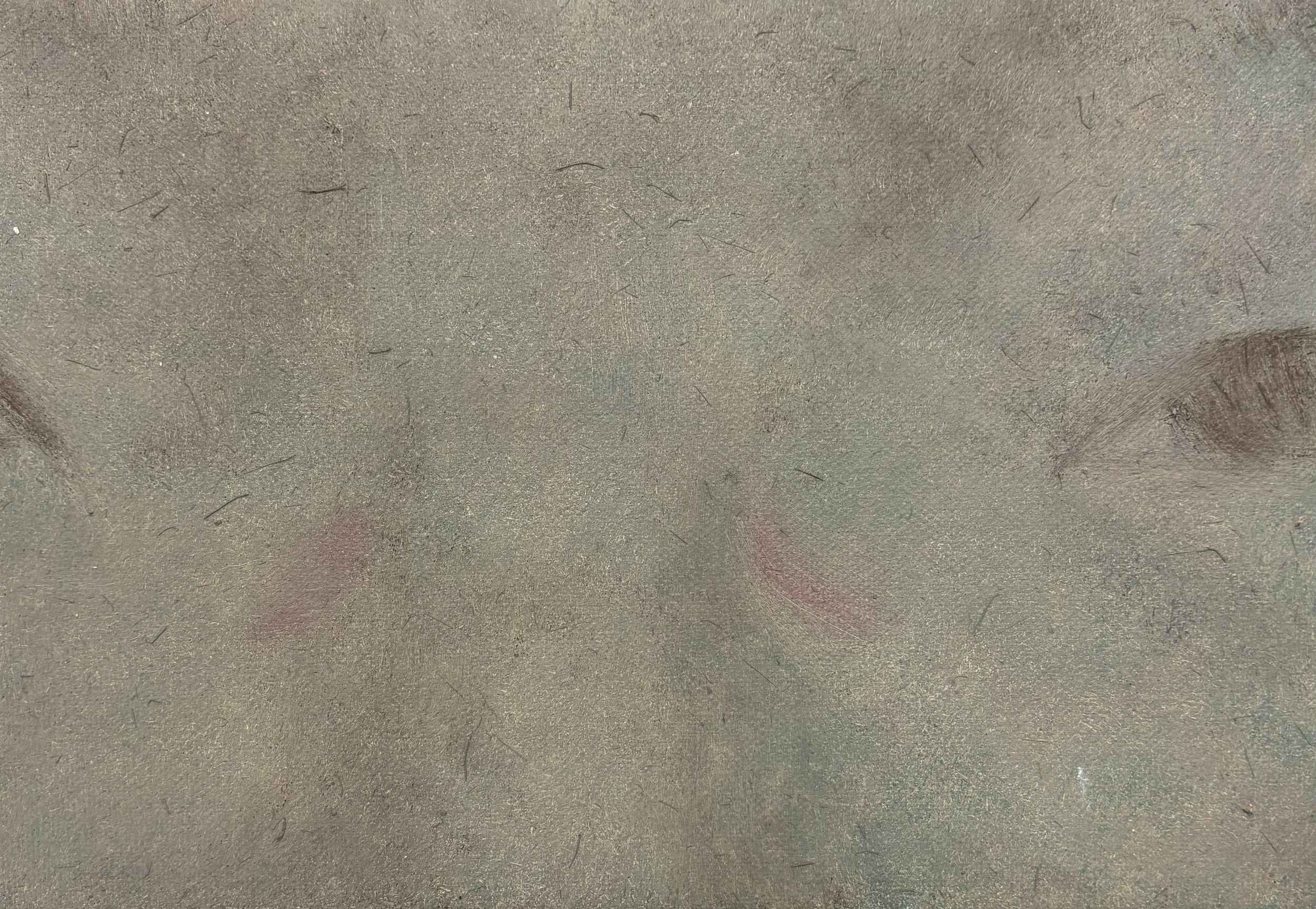 To Yoonhee / 윤희에게, 2026, oil on panel, 16 × 23 cm