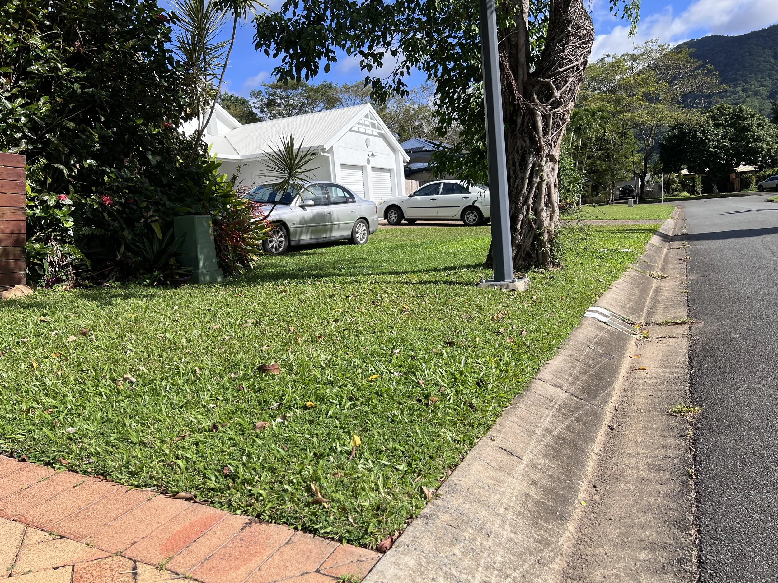 Before - front lawn 