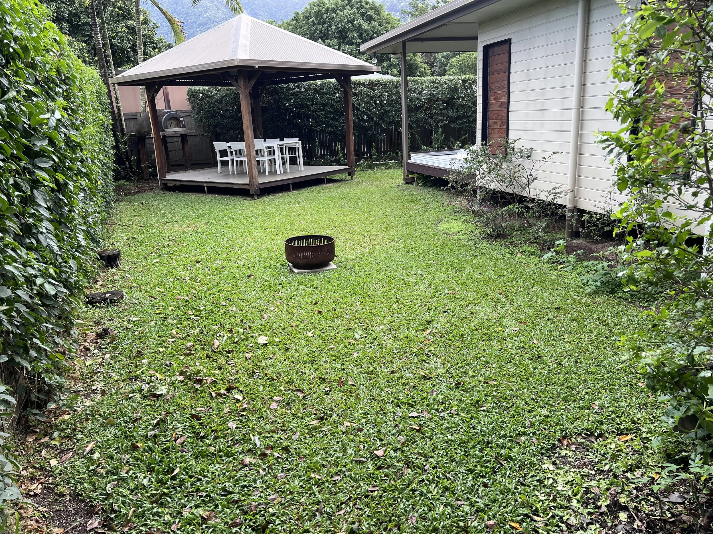 Before - back lawn