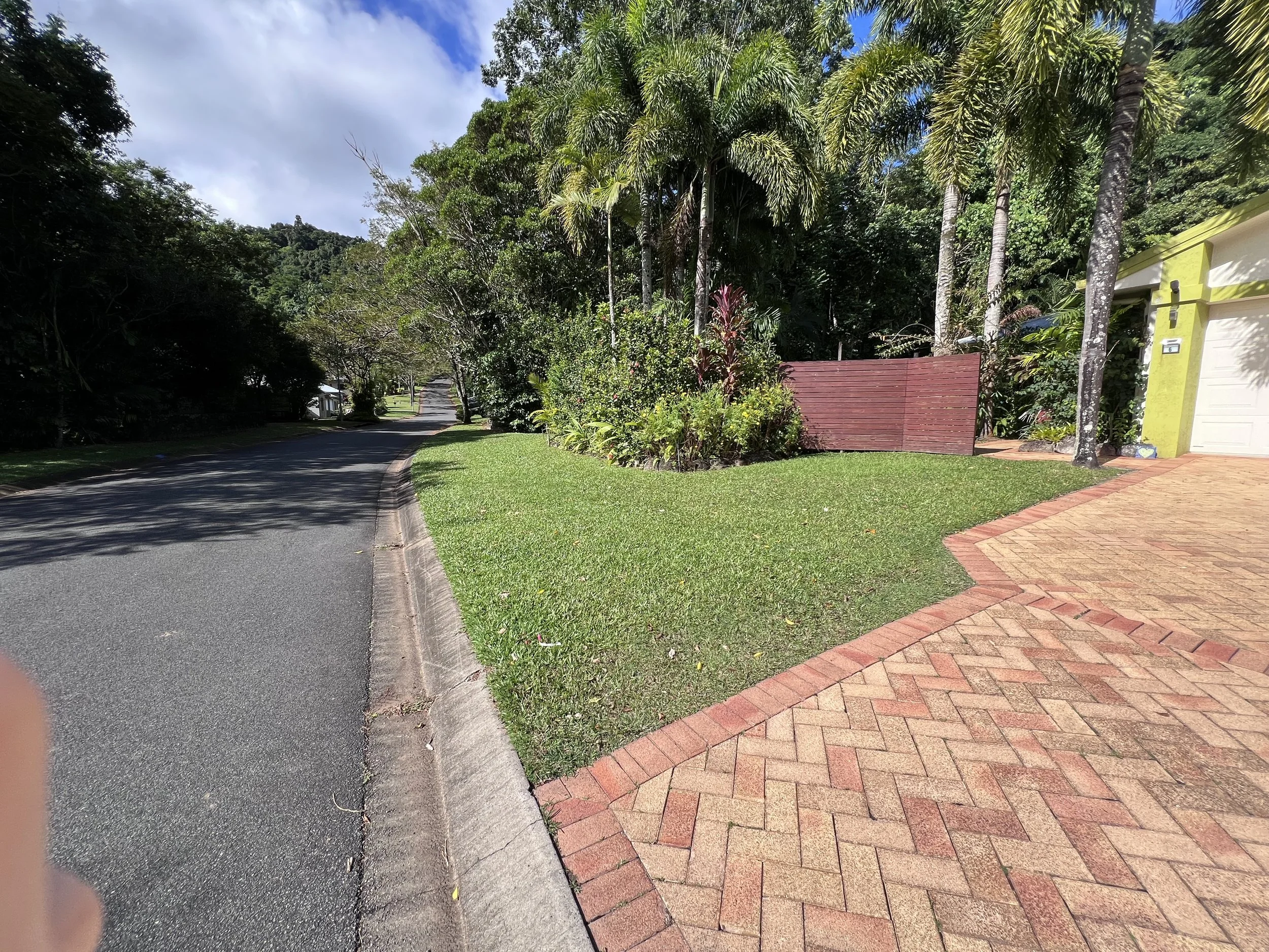 Before - front lawn 