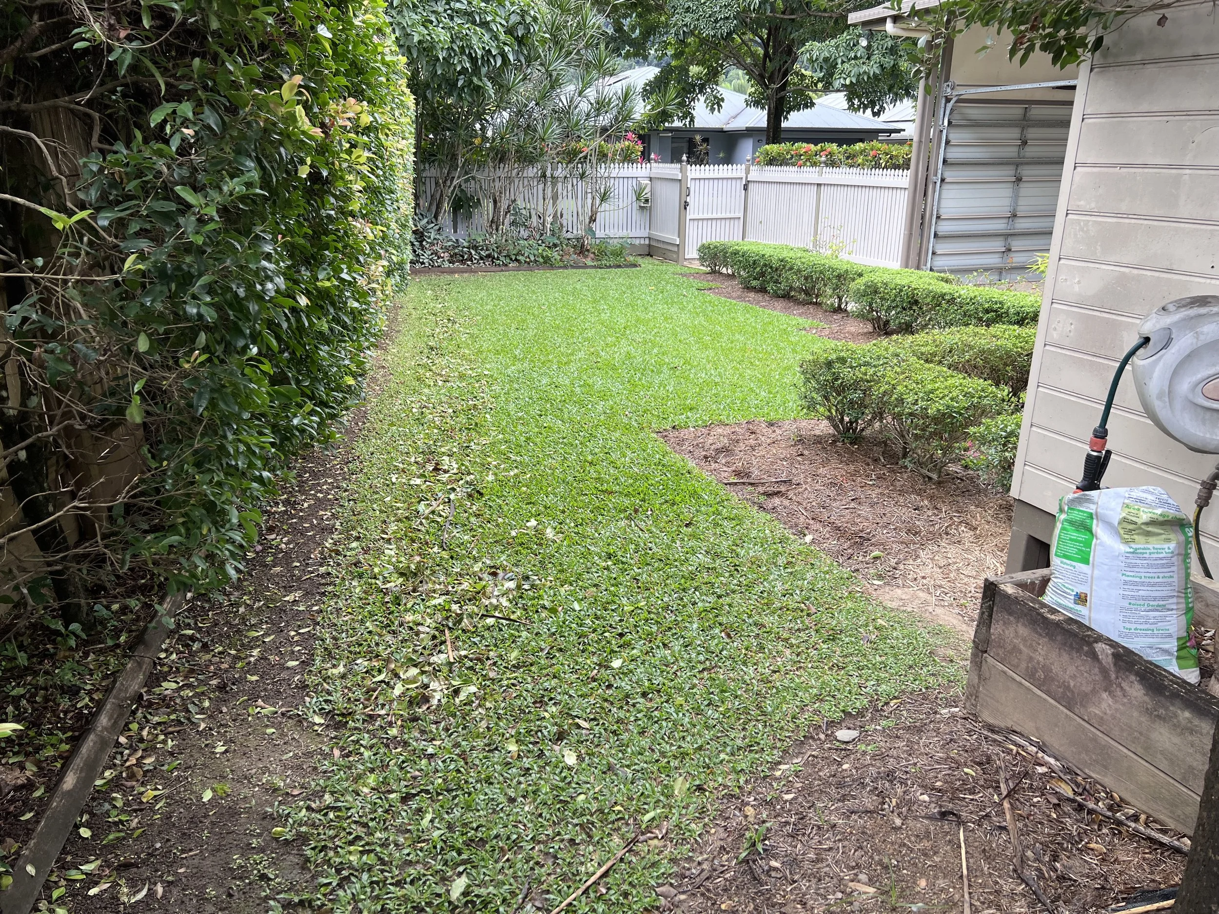 Before - front lawn 