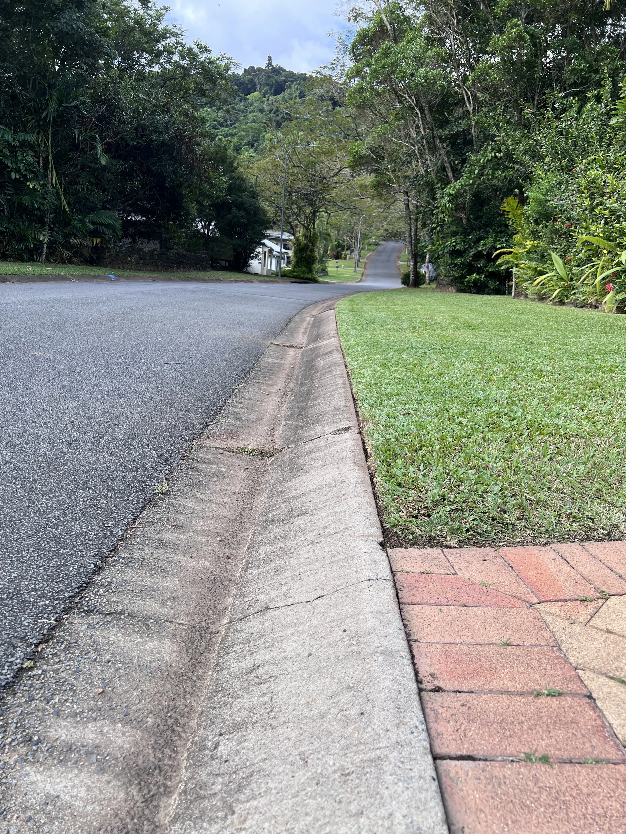 After - front lawn 