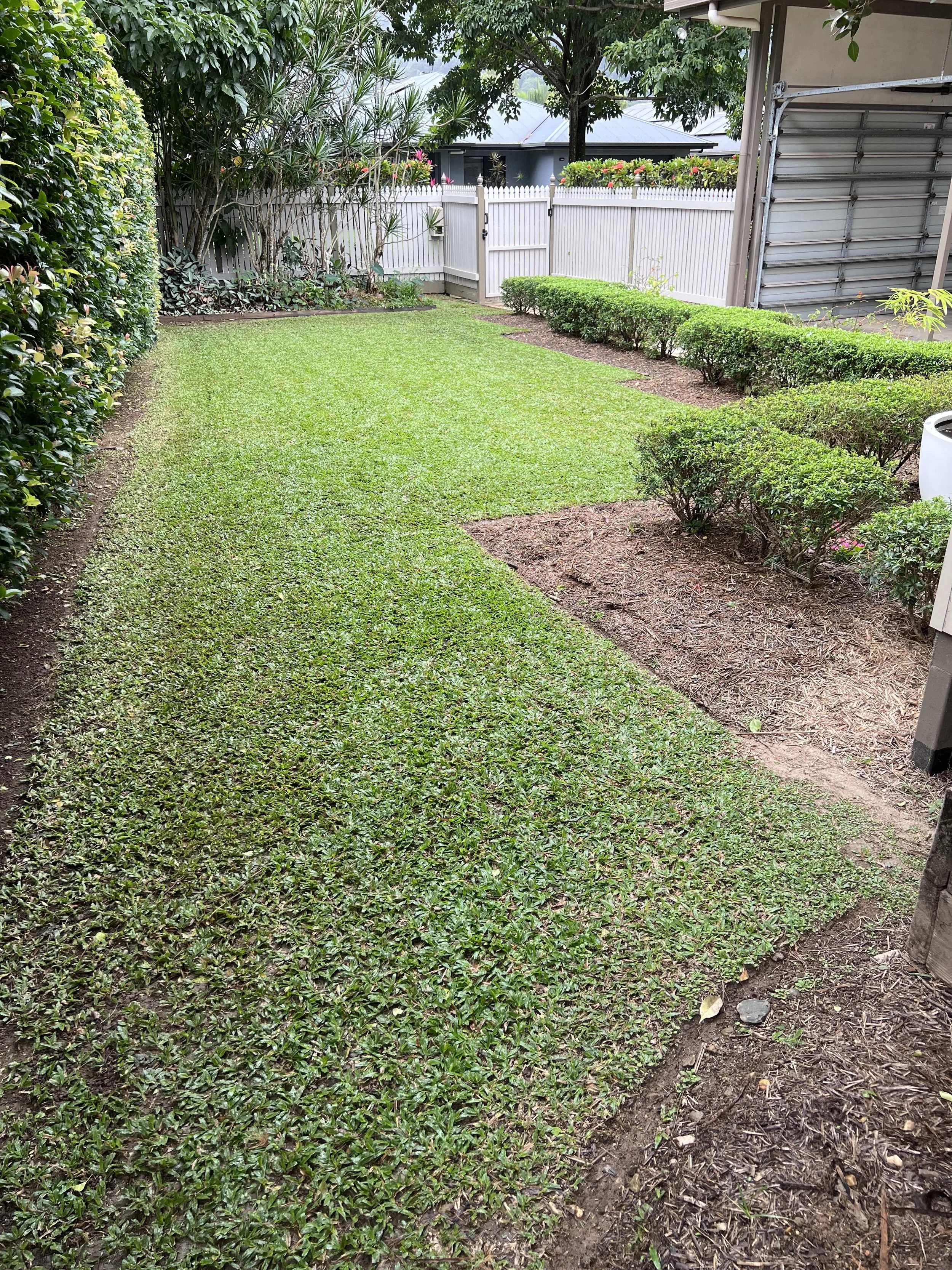 After - front lawn 