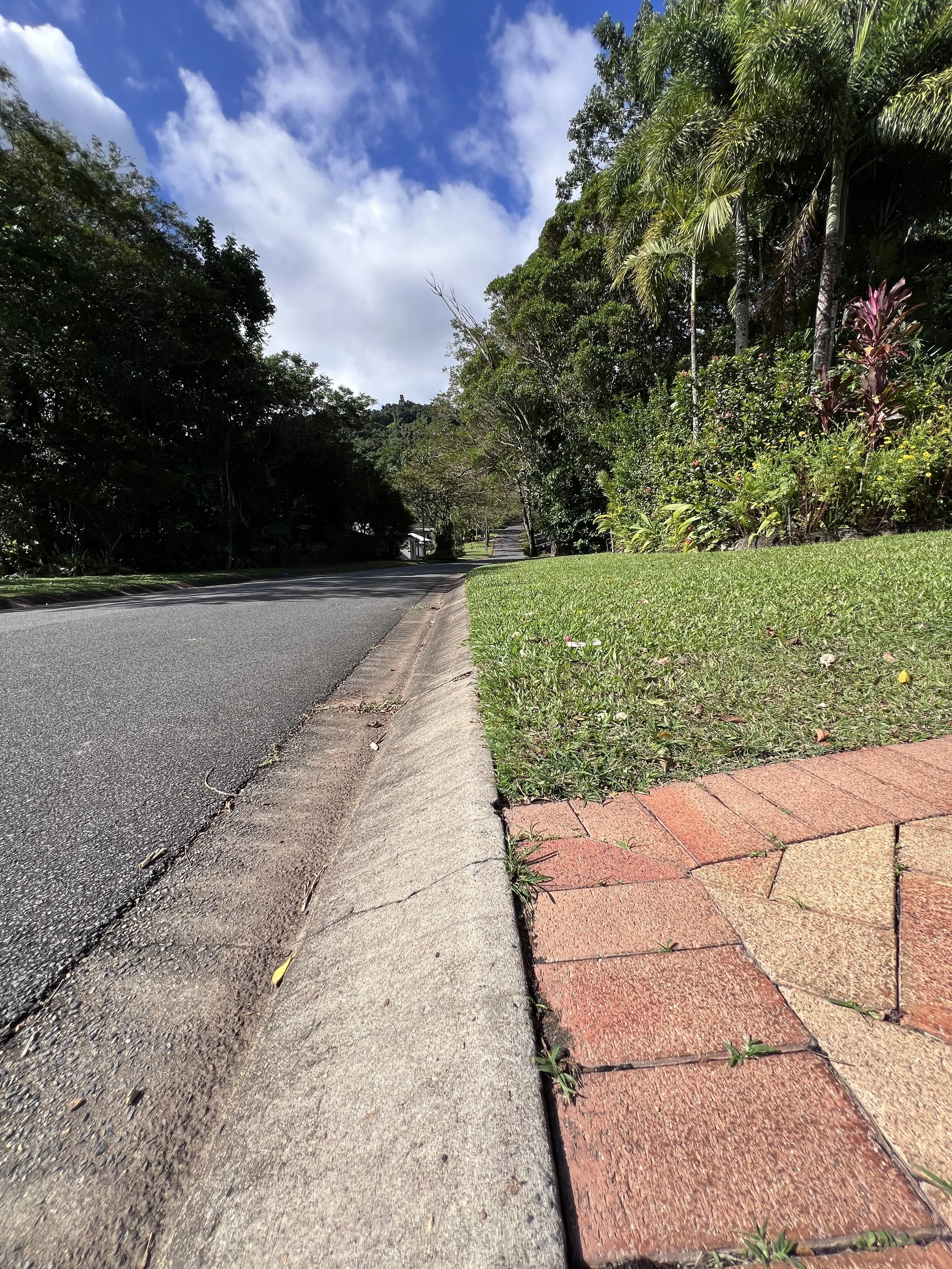 Before - front lawn 
