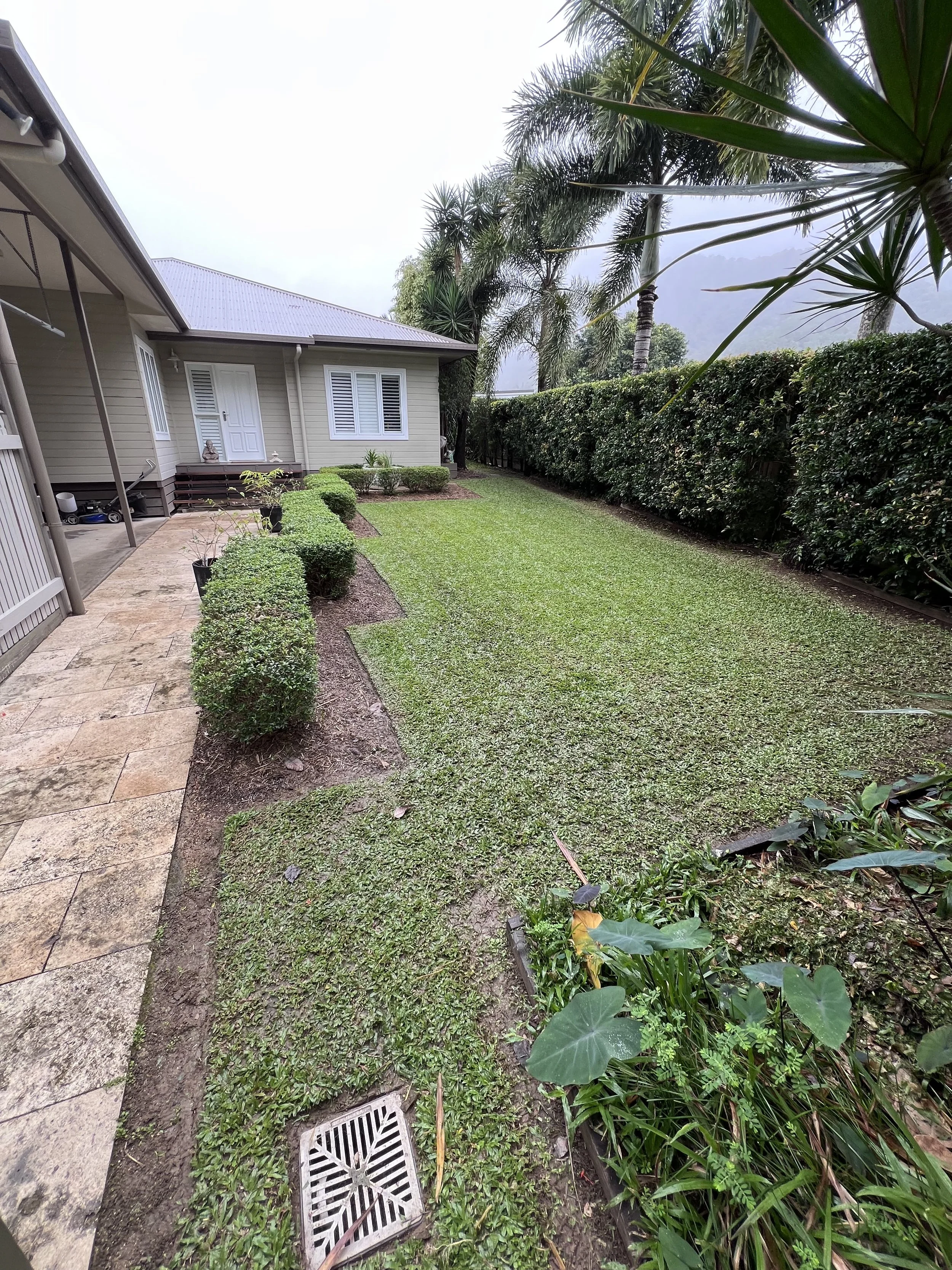 After - front lawn 