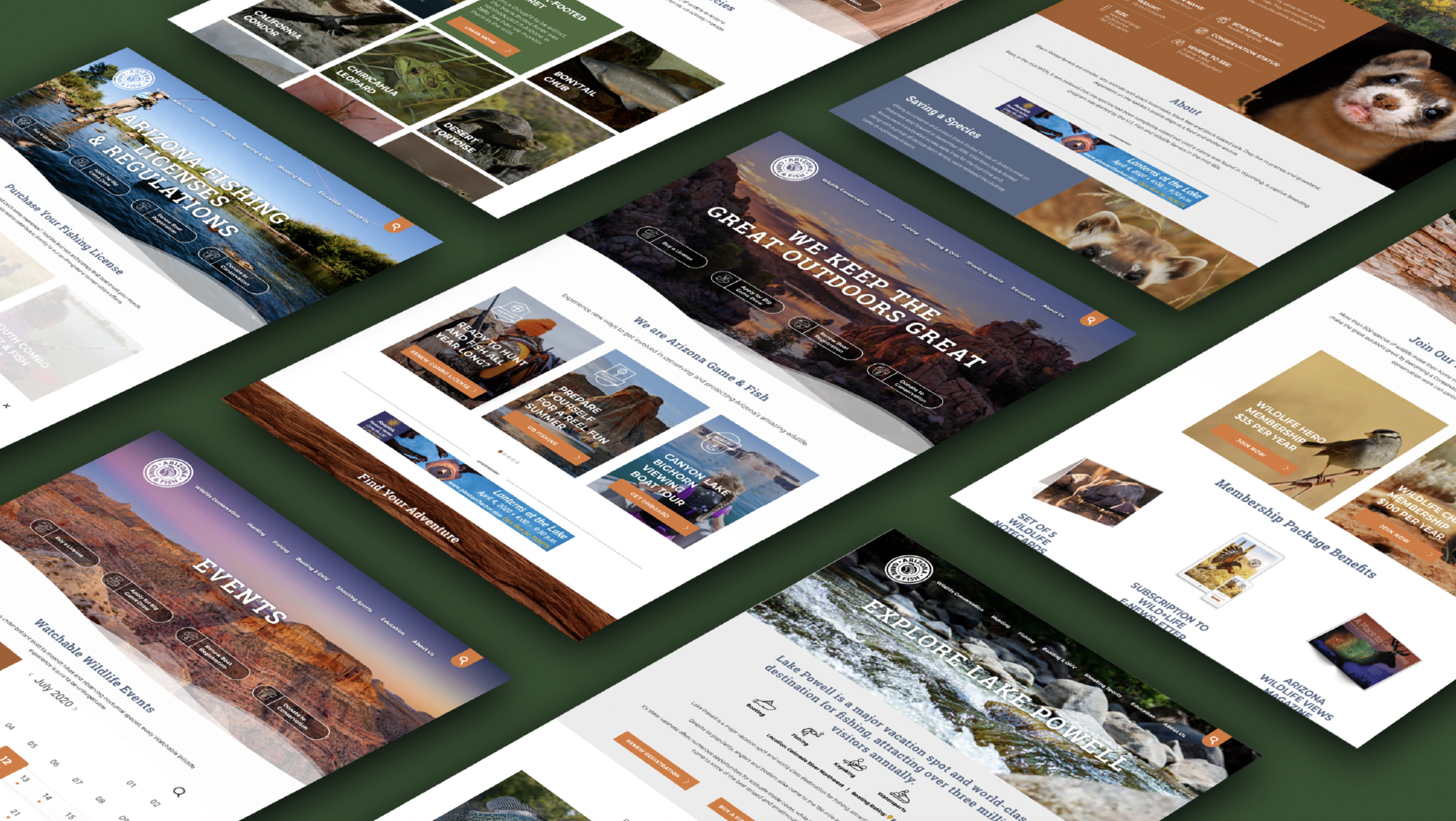 Building a Scalable Design System for a 300+ Page Website