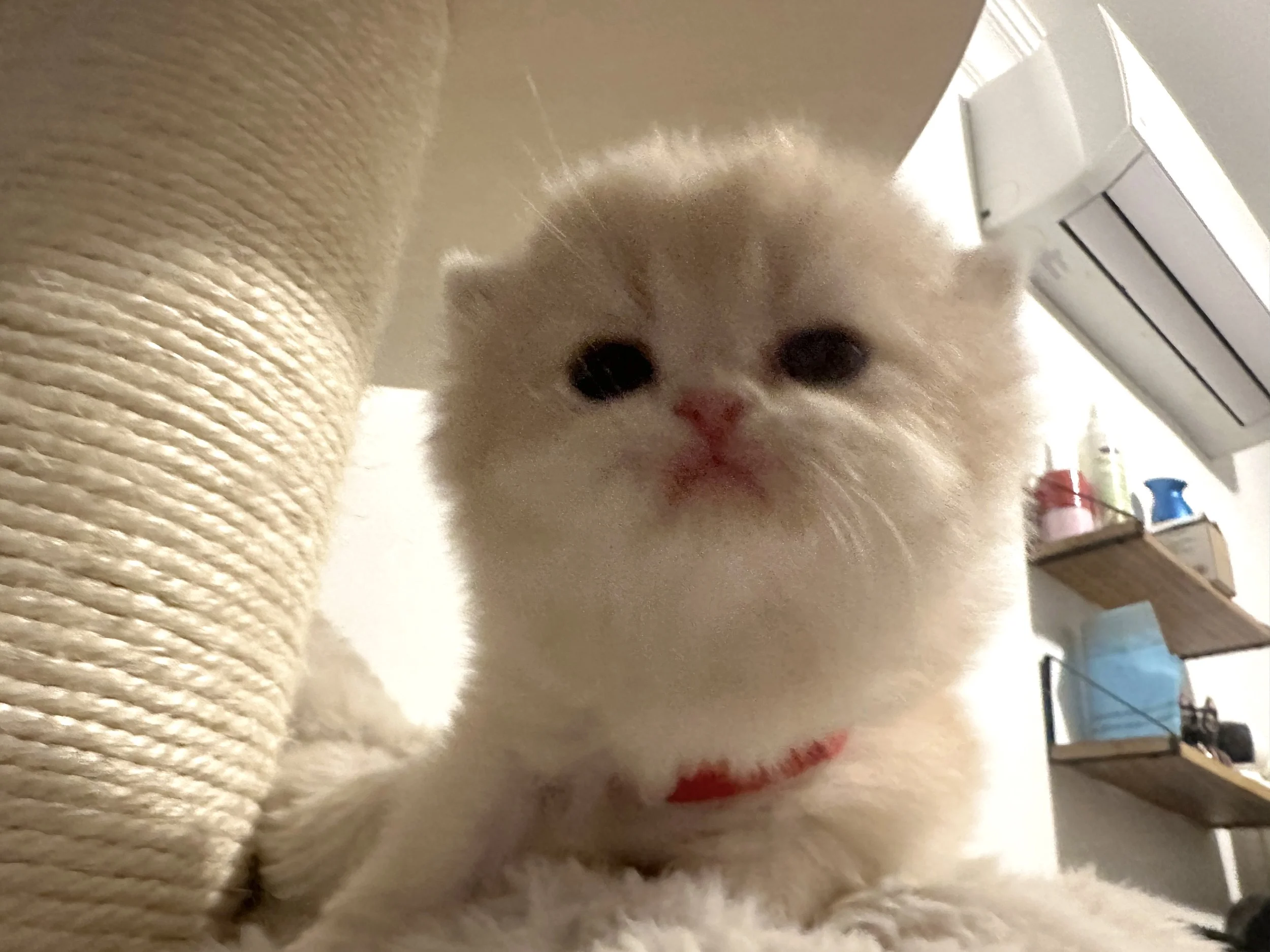 微信图片_20260520035734_457_3649.jpg