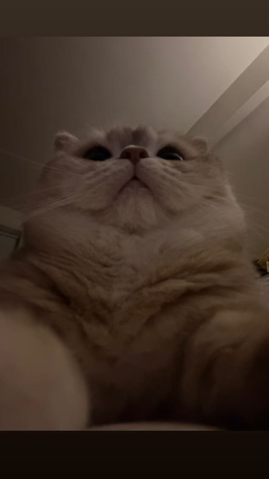 微信图片_20260516085837_172_3649.jpg