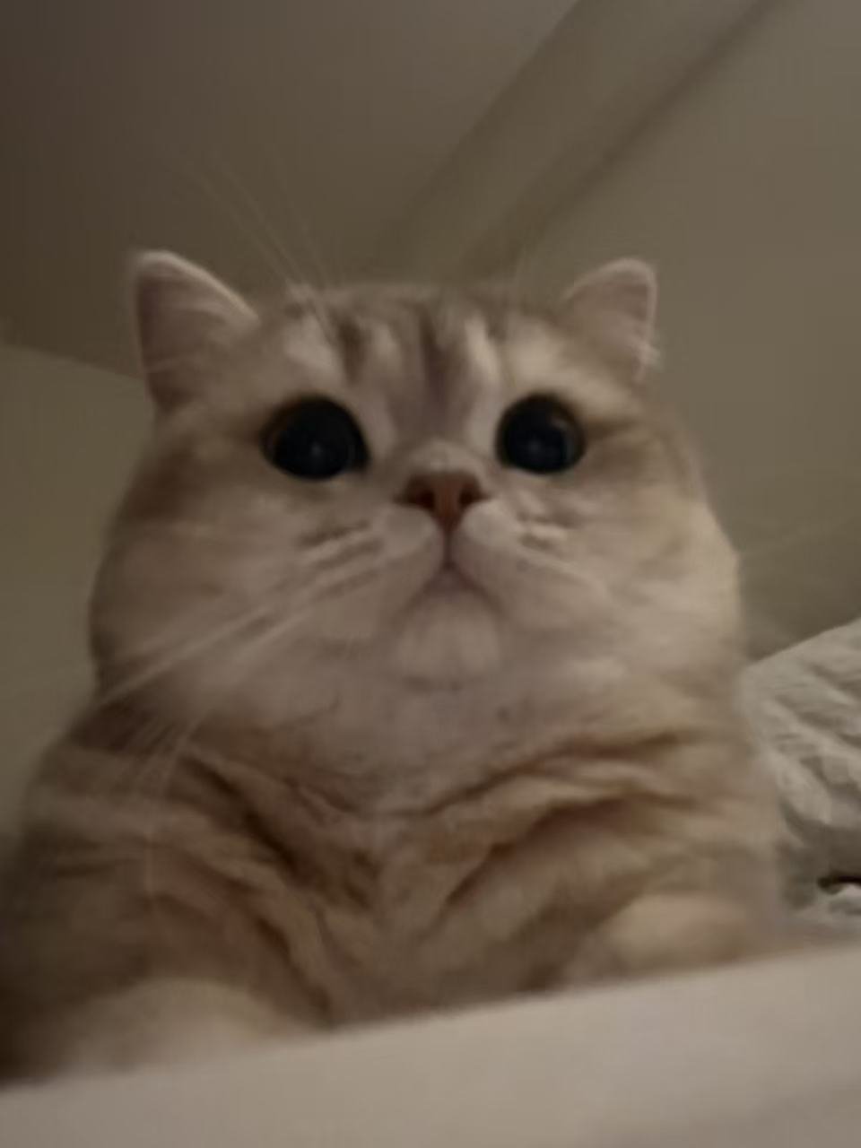 微信图片_20260516085834_169_3649.jpg