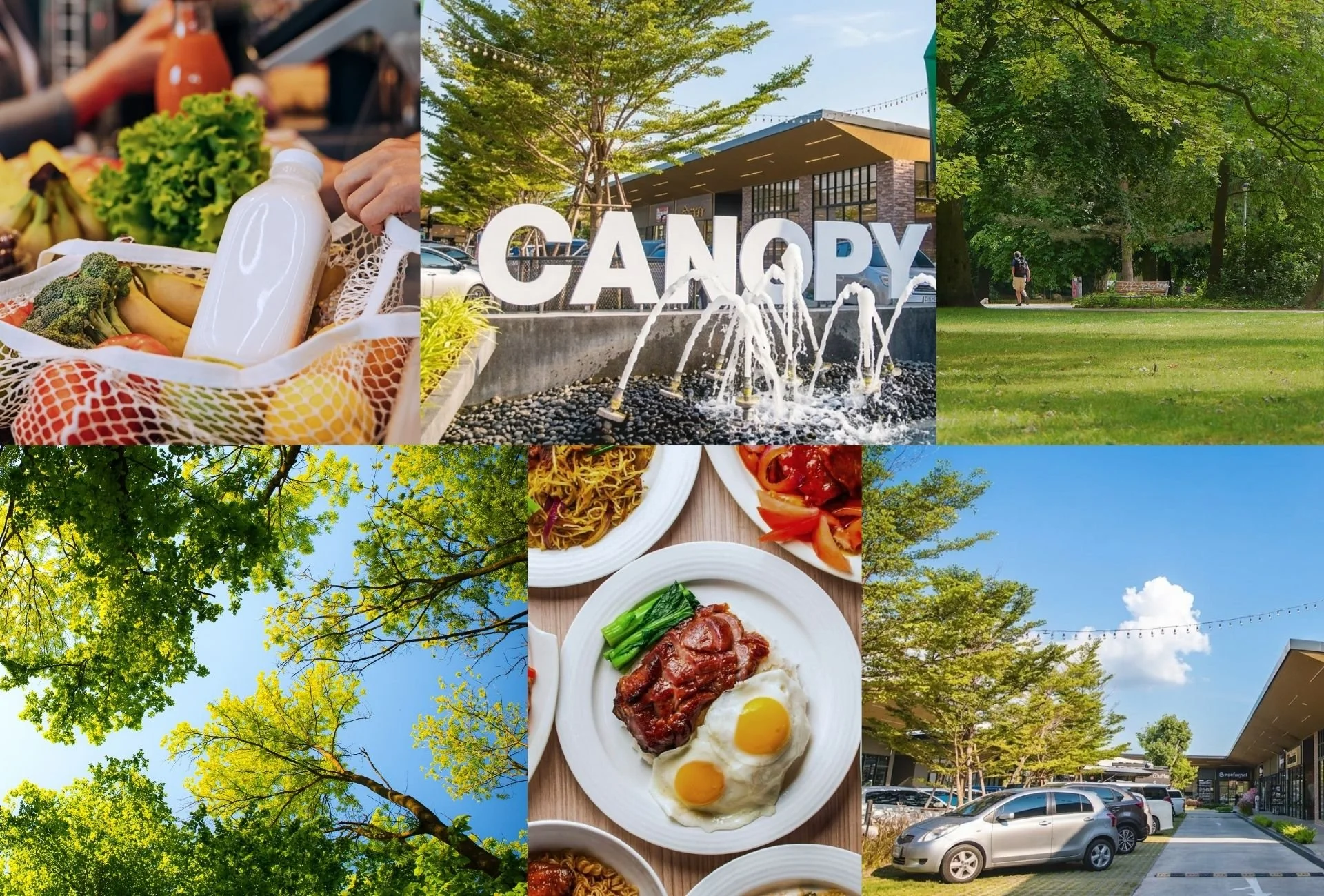 A collage of outdoor scenes including a park with trees and a person walking, a shopping mall parking lot, a fountain with the word CANOPY, and tables with food such as noodles, a steak with eggs, and meals with vegetables and rice.