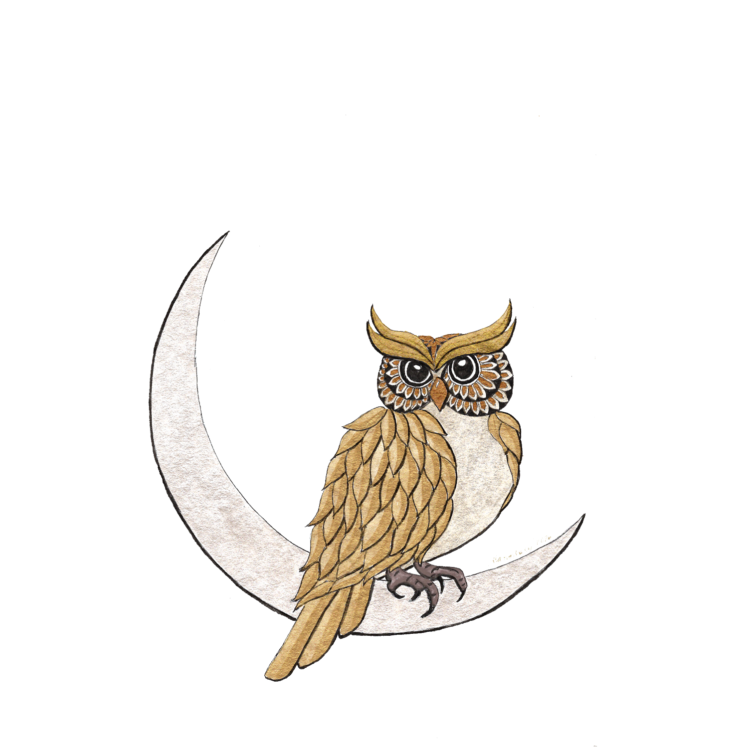 Owl O'clock 