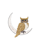 Owl O'clock 