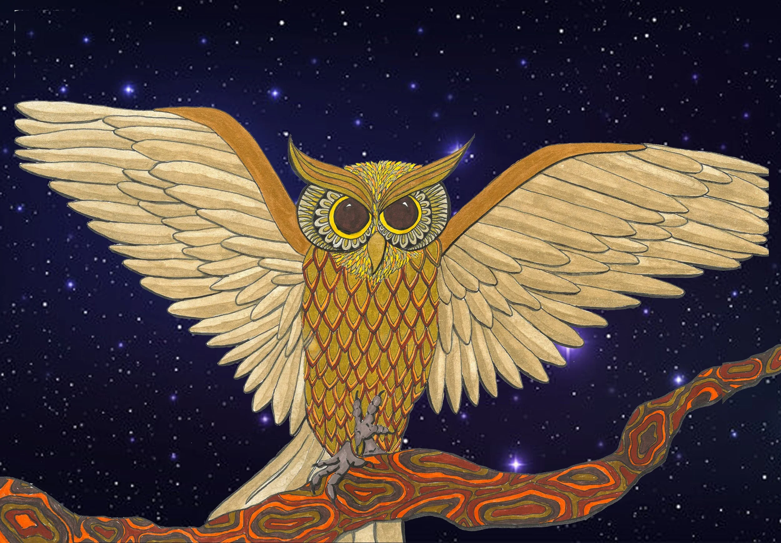 A detailed illustration of an owl with large eyes and outstretched wings perched on a branch, set against a starry night sky.