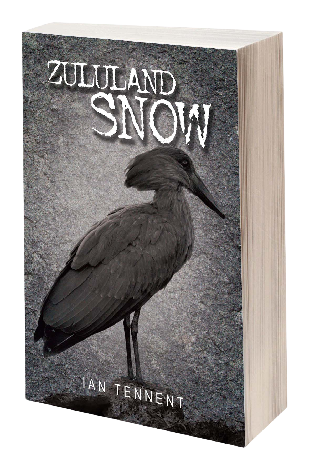 Zululand Snow Book