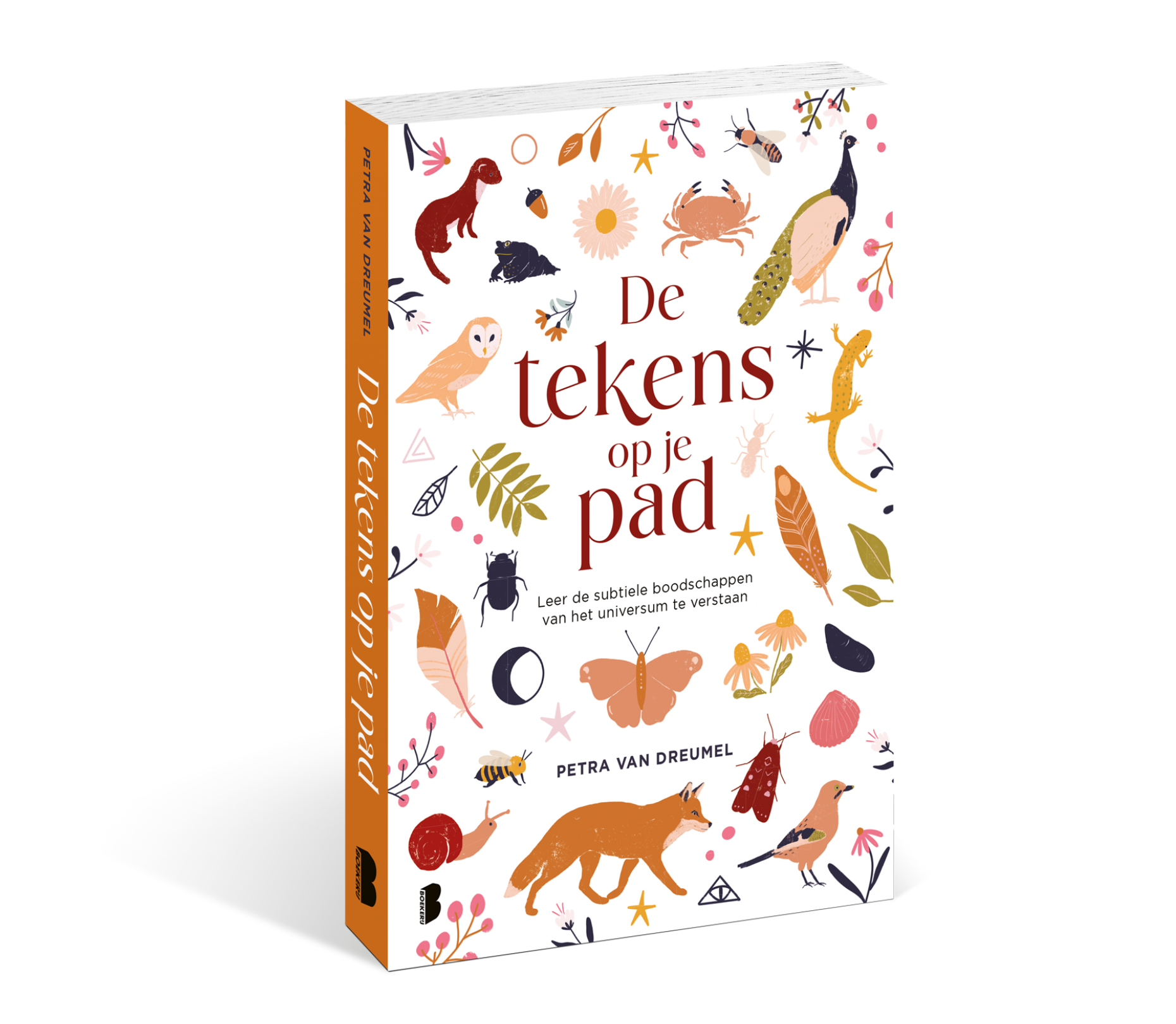 De Tekens op je Pad