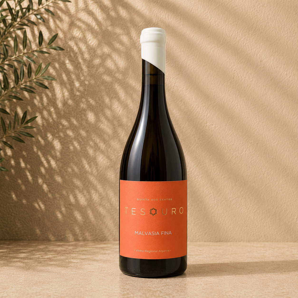 Tesouro Malvasia Fina