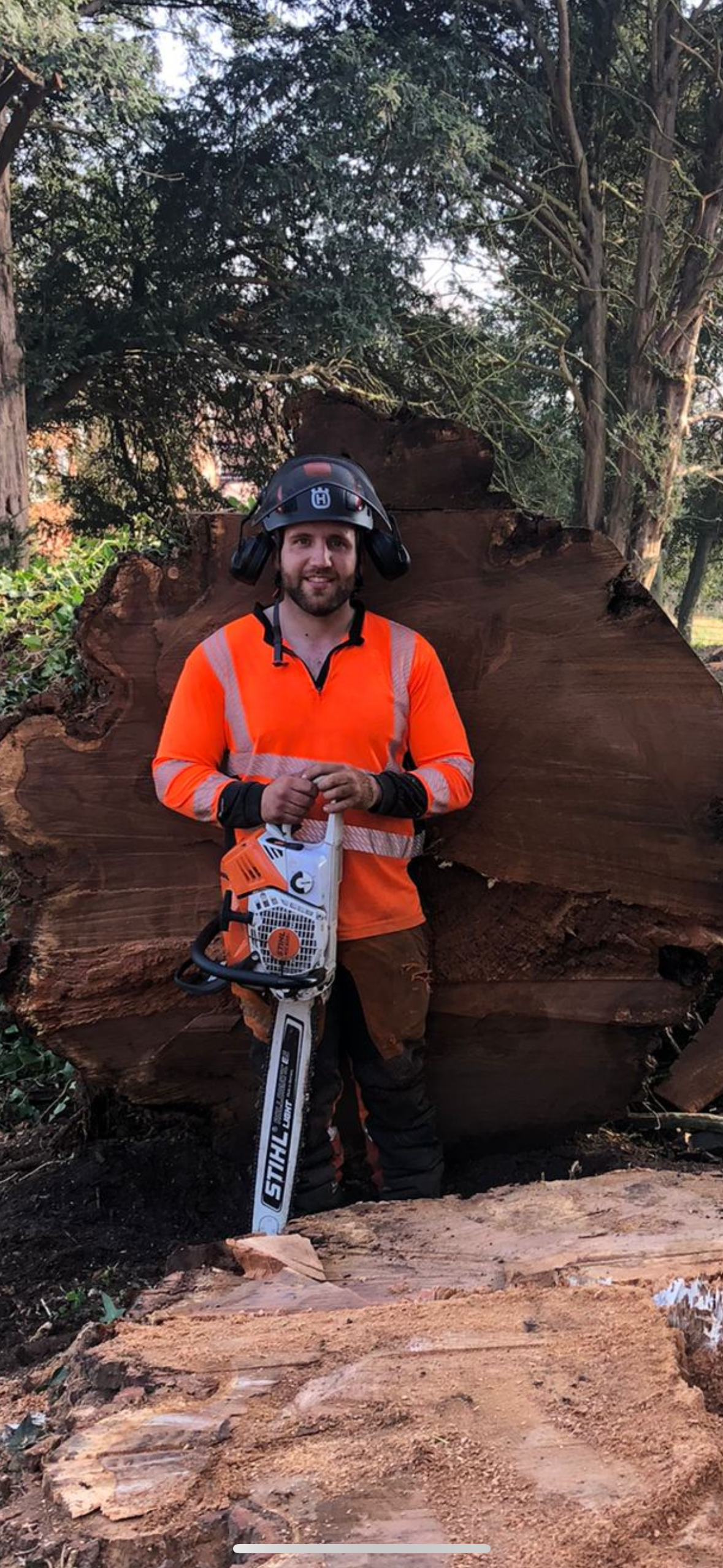 Man in orange high-visibility clothing holding a chainsaw, standing in front of a large tree stump in a forested area.
