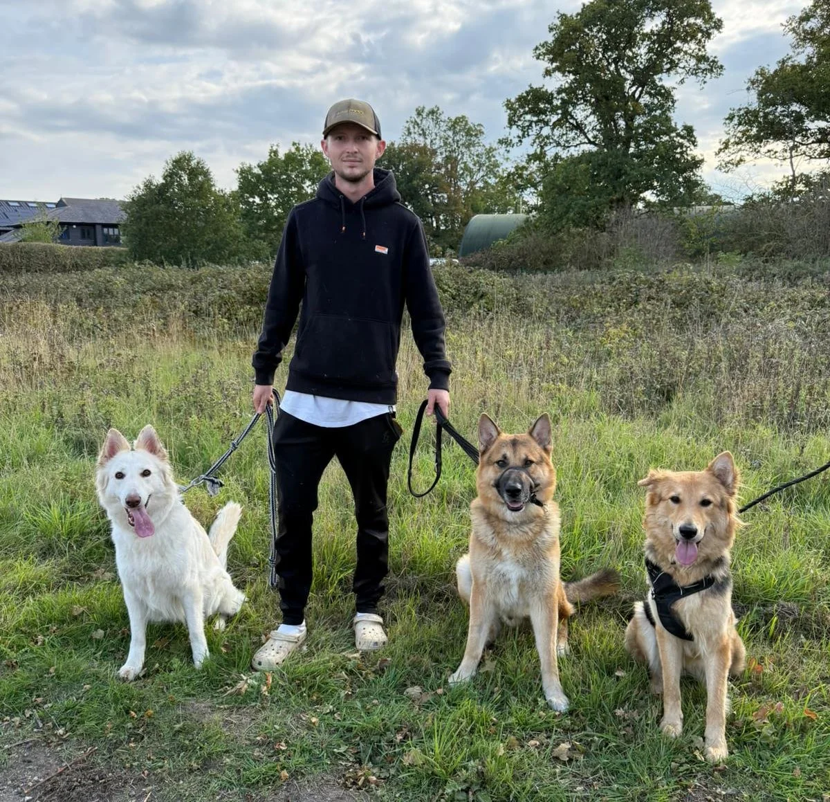 A young man standing outdoors with three dogs on leashes in a grassy field.