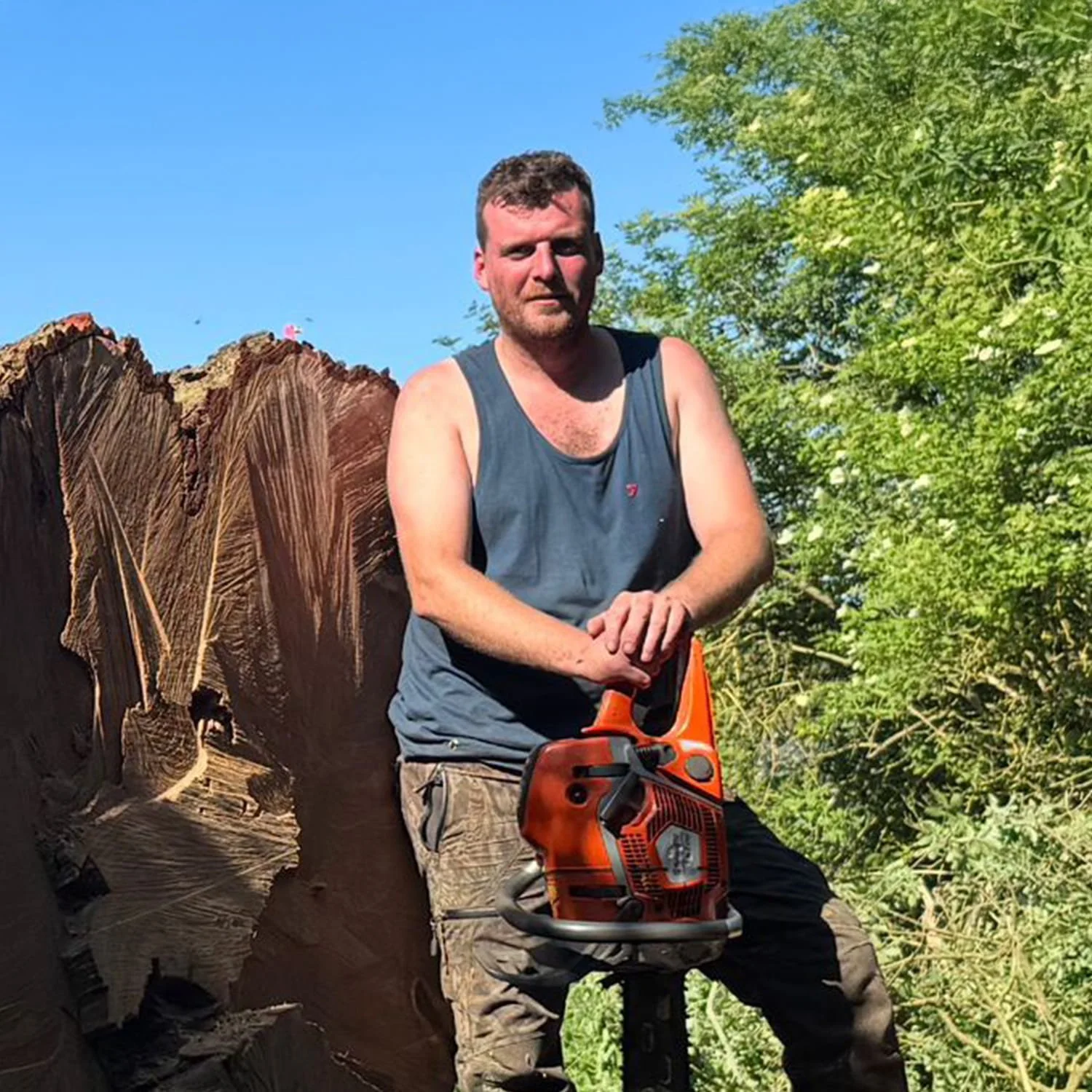 A man wearing a blue tank top and khaki pants, sitting on a tree stump, holding a chainsaw, with a large cut tree trunk behind him and green foliage around, under a clear blue sky.