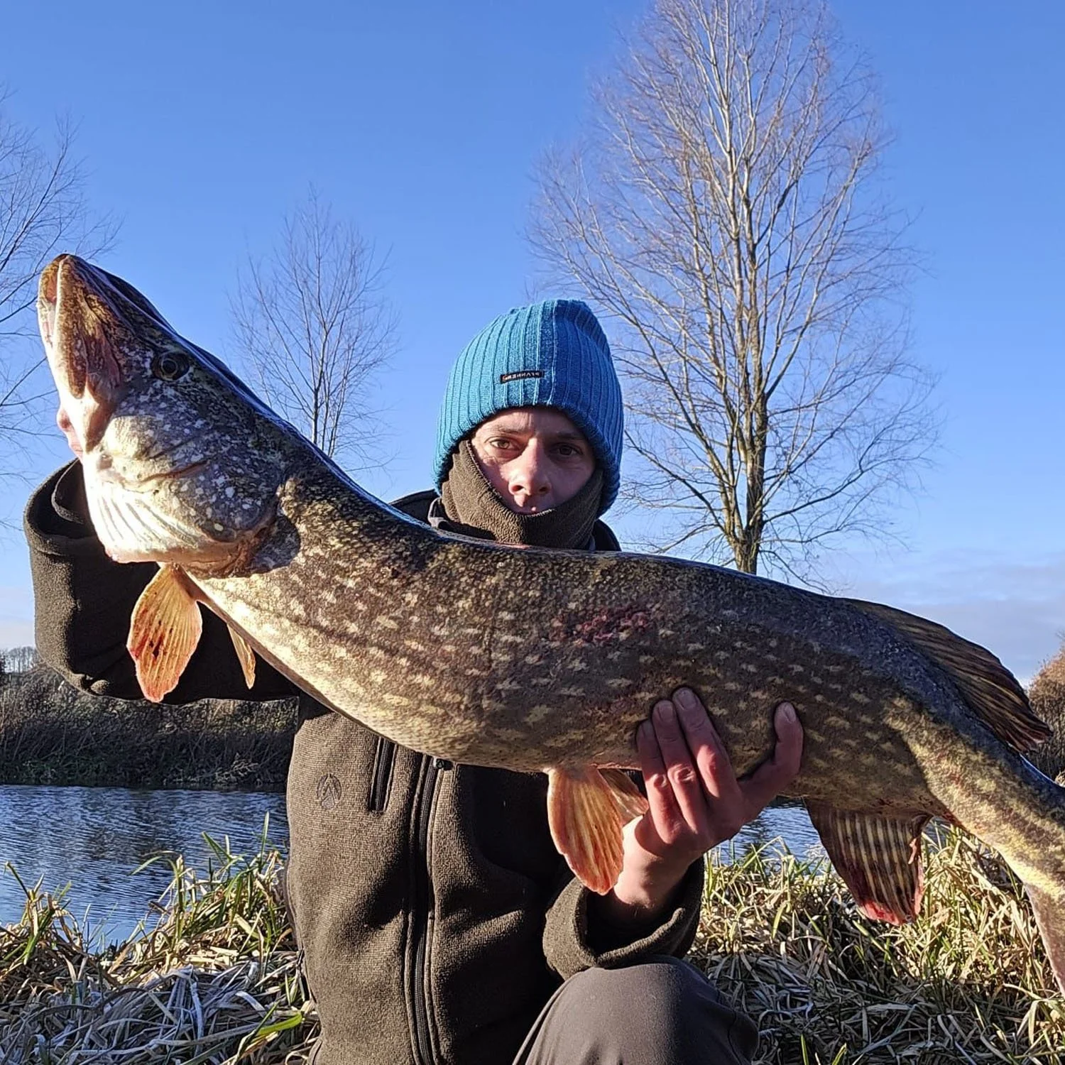 Man in a blue beanie and brown jacket holding a large fish with a dark brown and tan pattern, near a body of water with tall grass and leafless trees in the background.