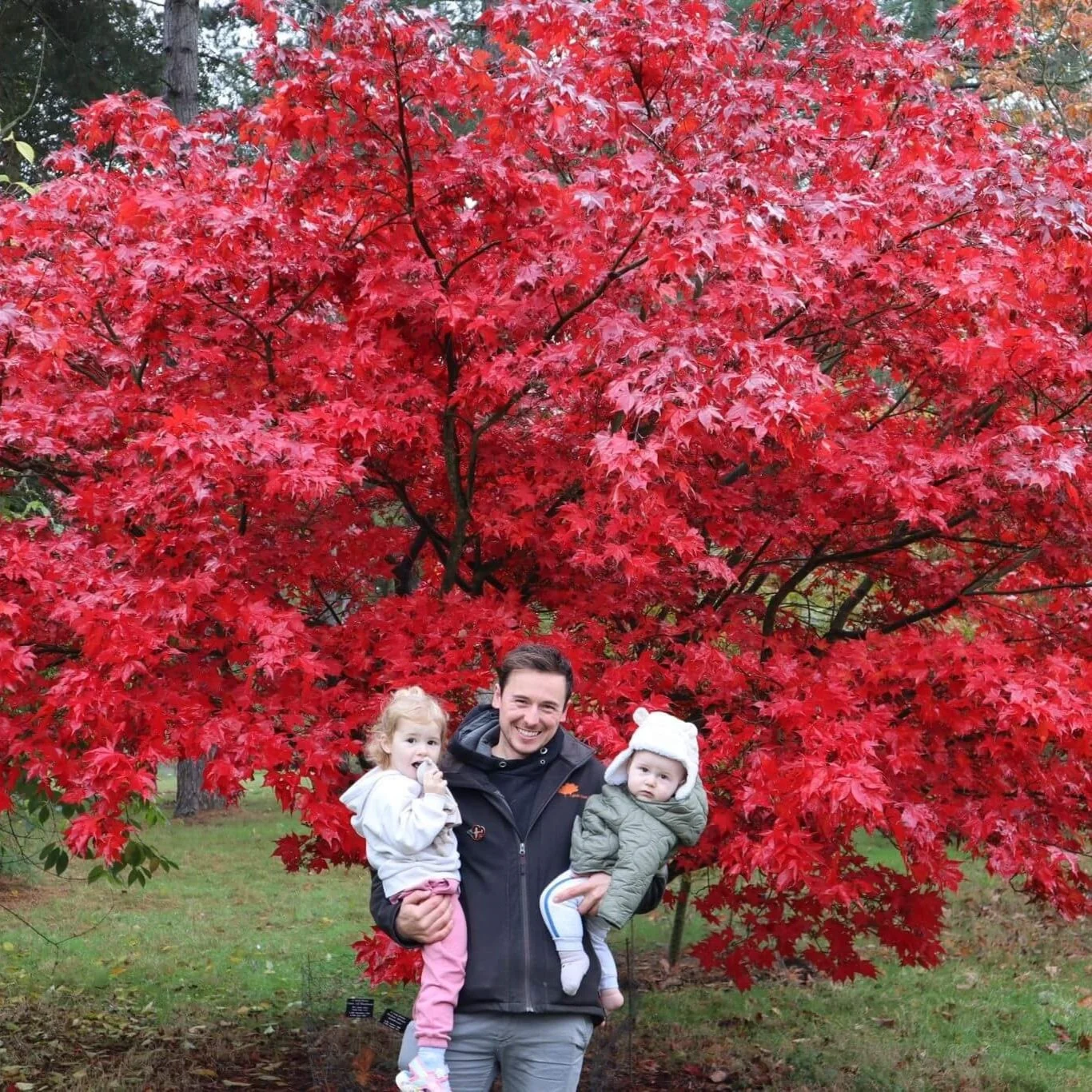 George Blake, founder of Blake Tree Care, stands with his two children in front of a vibrant red tree.