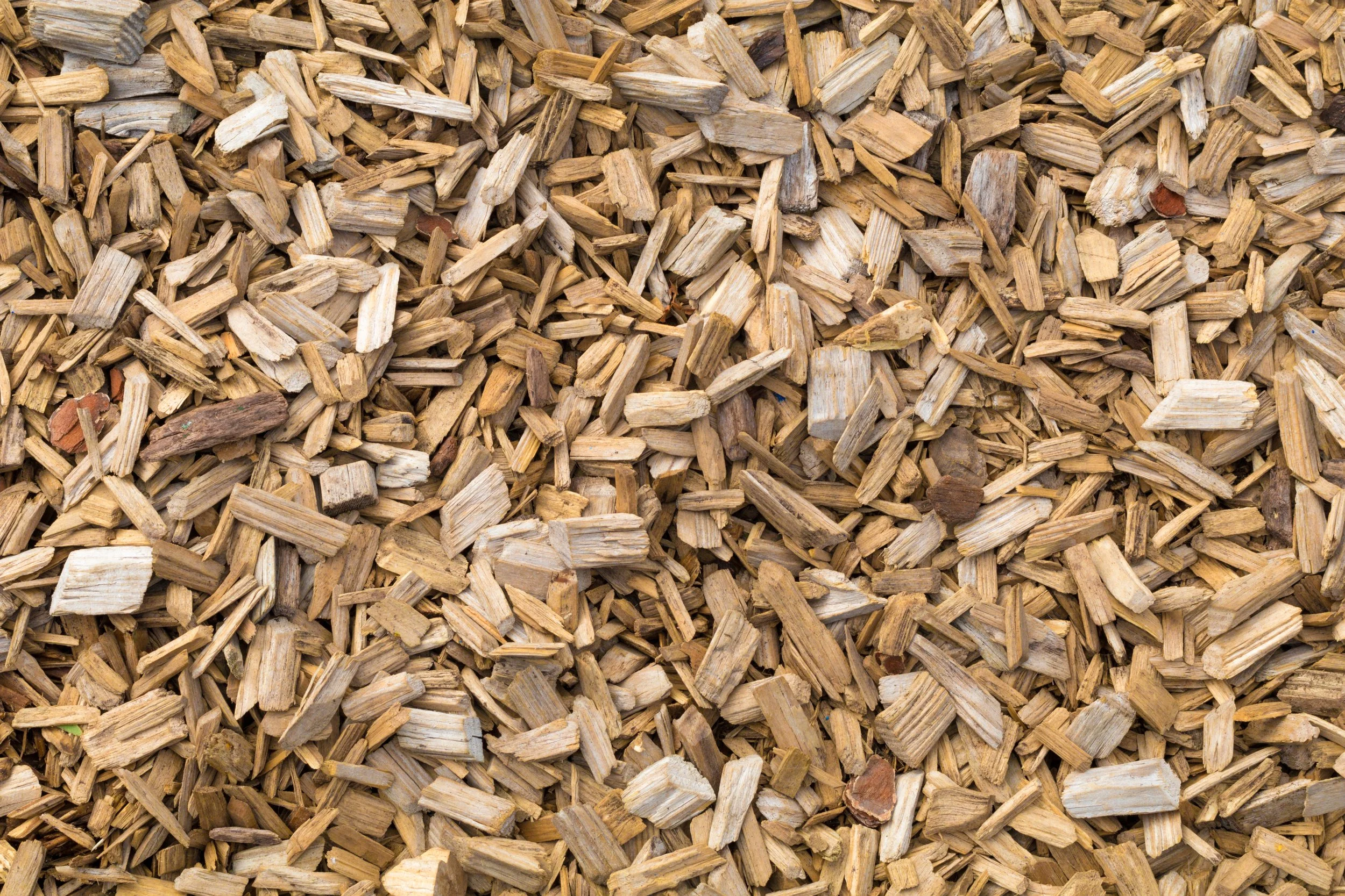 Close-up of wood chips covering the ground