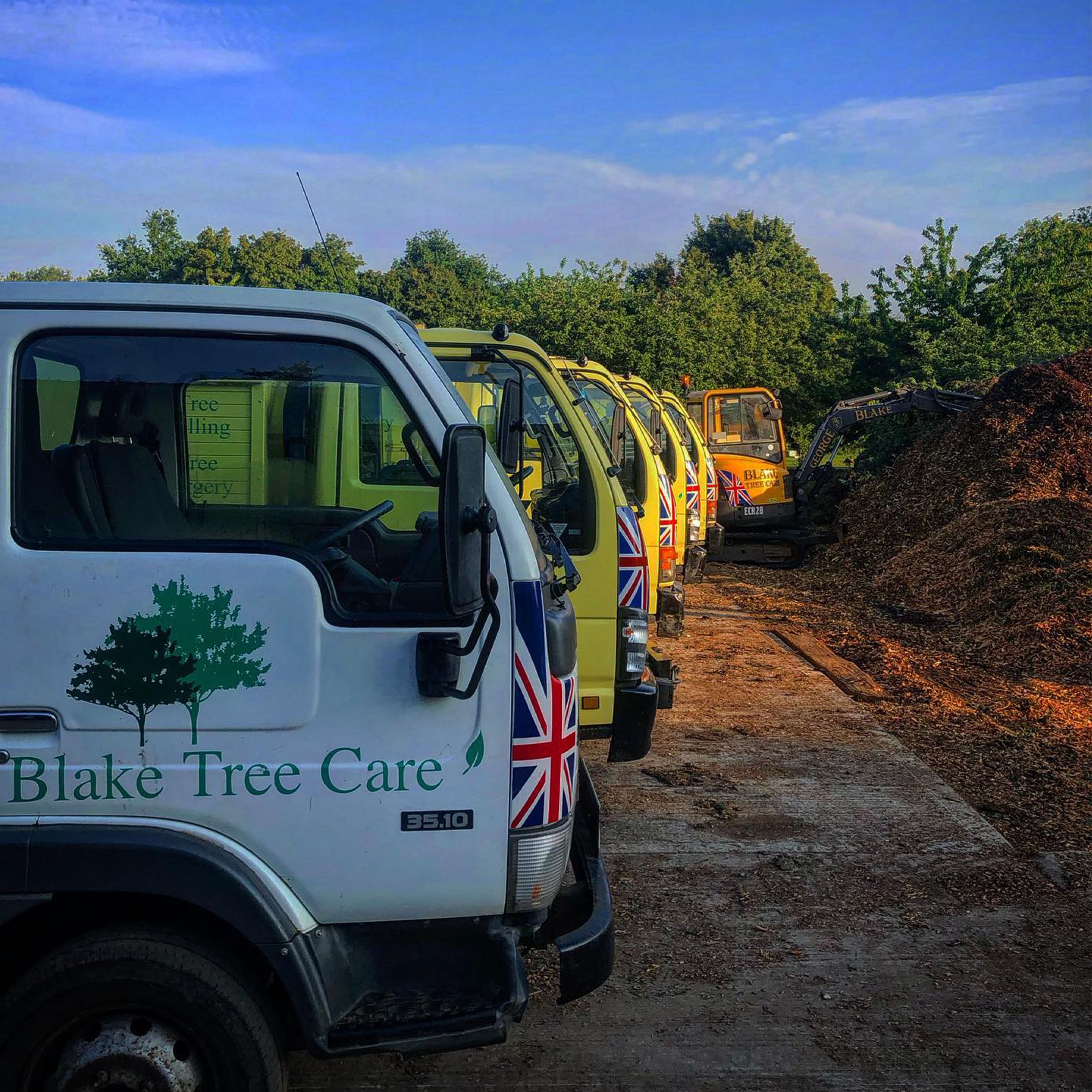 Fleet of Blake Tree Care trucks lined up next to wood chip piles and trees, with Union Jack flags on vehicles.