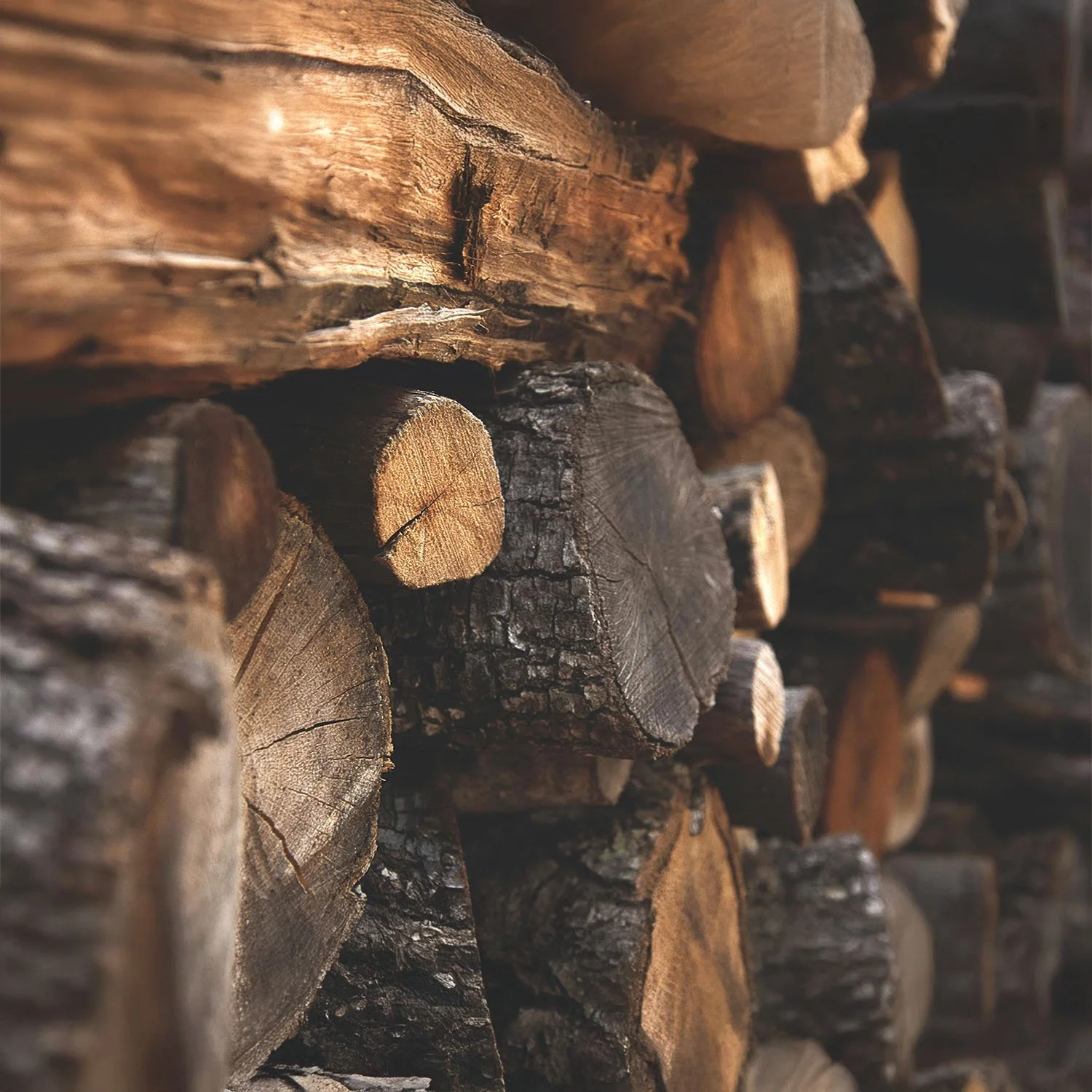 Stacked logs of wood, showing the textures and rings of the cut trees.