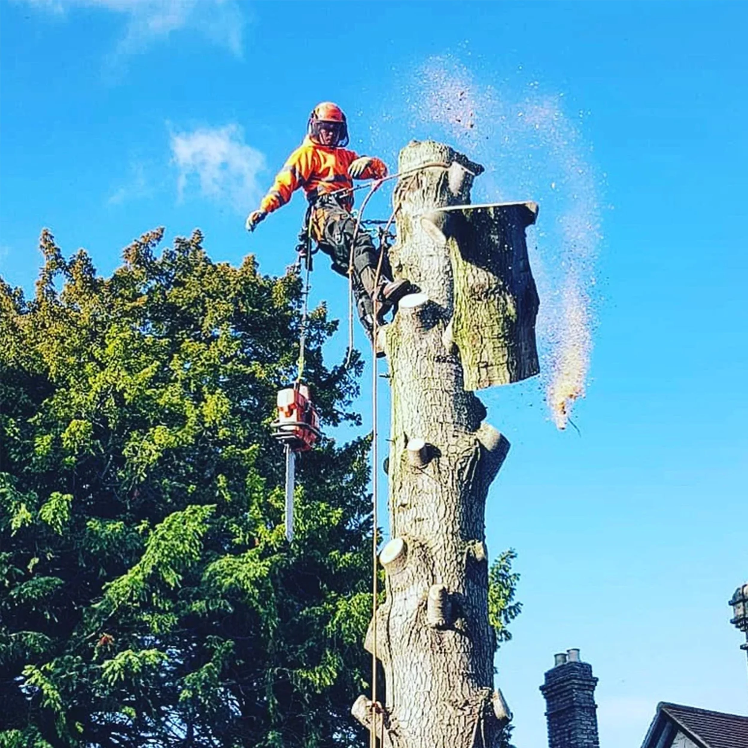 Tree surgeon in protective gear cutting a large tree trunk with a chainsaw, with wood chips flying, against a blue sky background.
