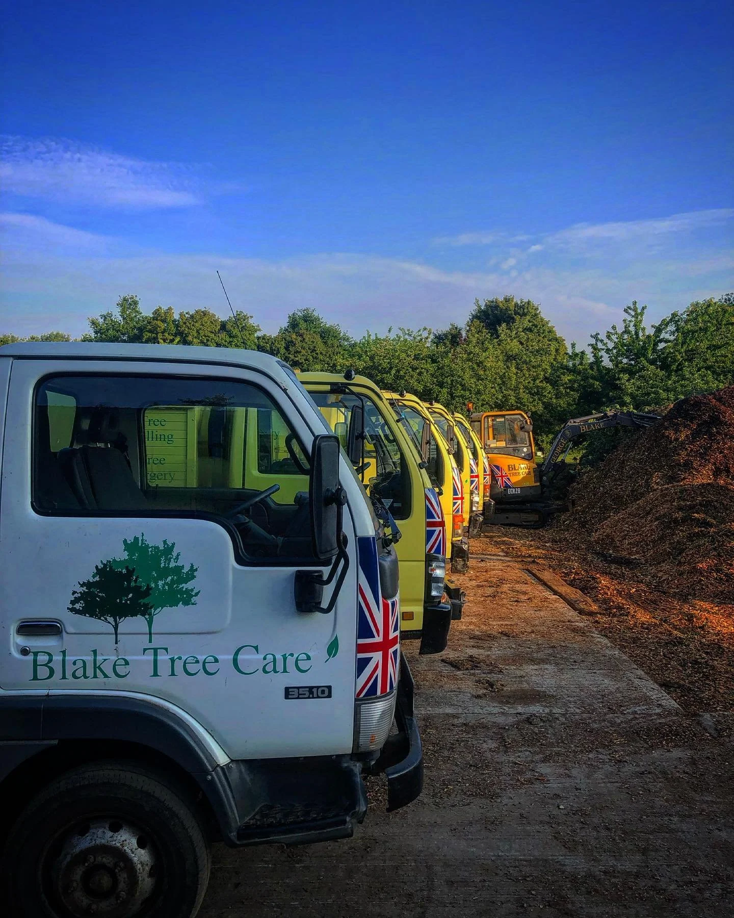 A row of small Blake Tree Care trucks parked on a dirt road with trees in the background under a blue sky.
