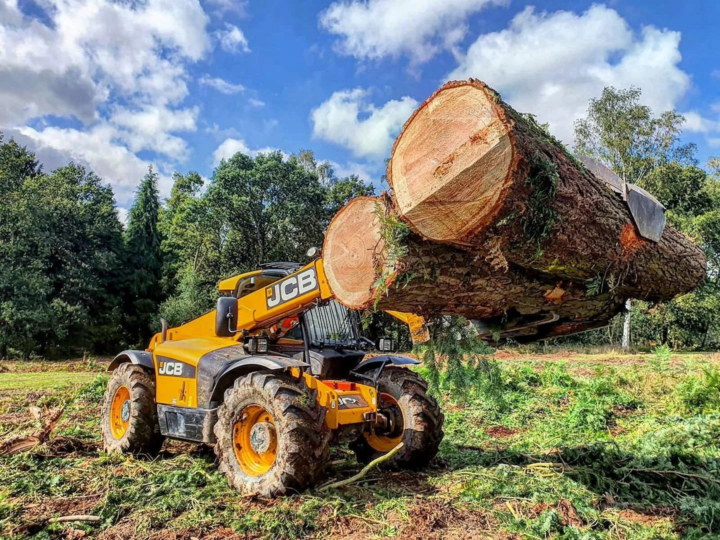 A yellow JCB front loader lifting a large cut tree trunk in a green landscape with trees and a partly cloudy sky.