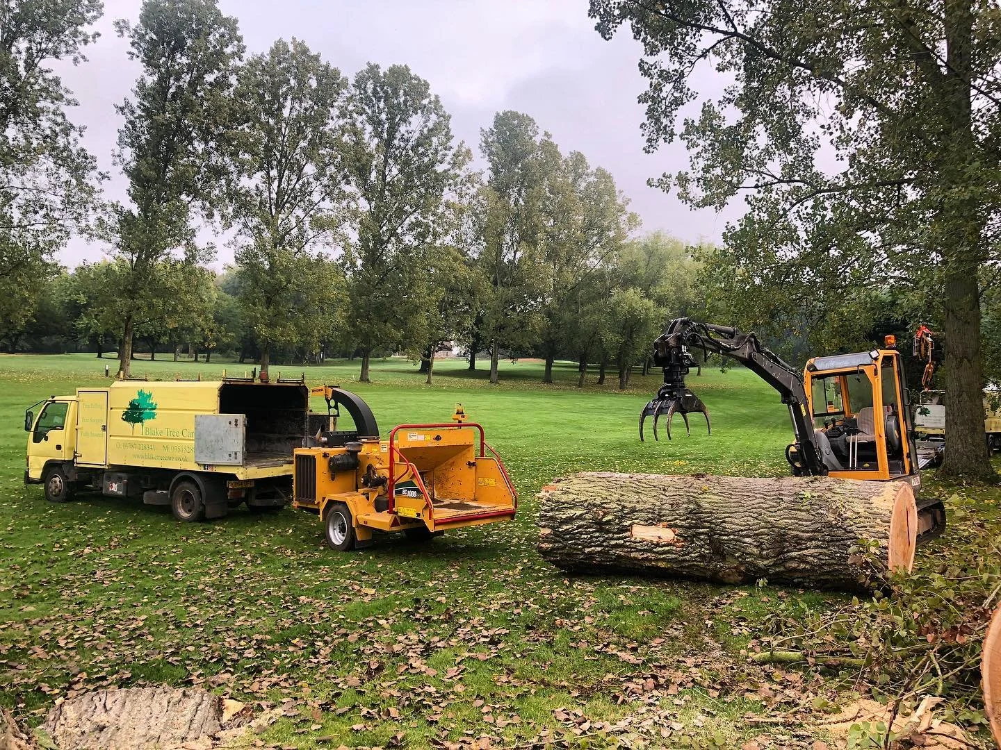 Tree removal equipment including a yellow truck, a wood chipper, and a skid-steer with grapple attachment cutting a large tree trunk in a park with green grass and trees in the background.