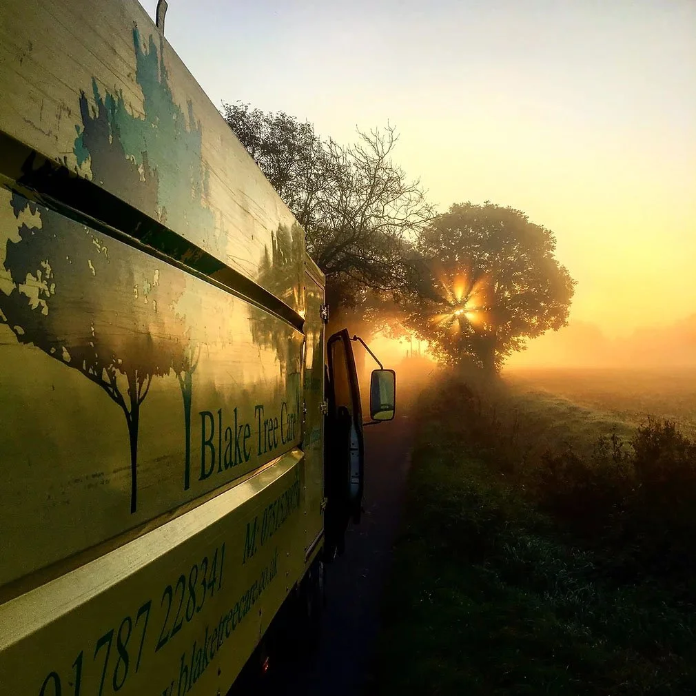 A yellow tree care truck labeled 'Blake Tree Care' parked beside a rural road at sunrise, with a large tree and the sun's rays peeking through its branches in the background.
