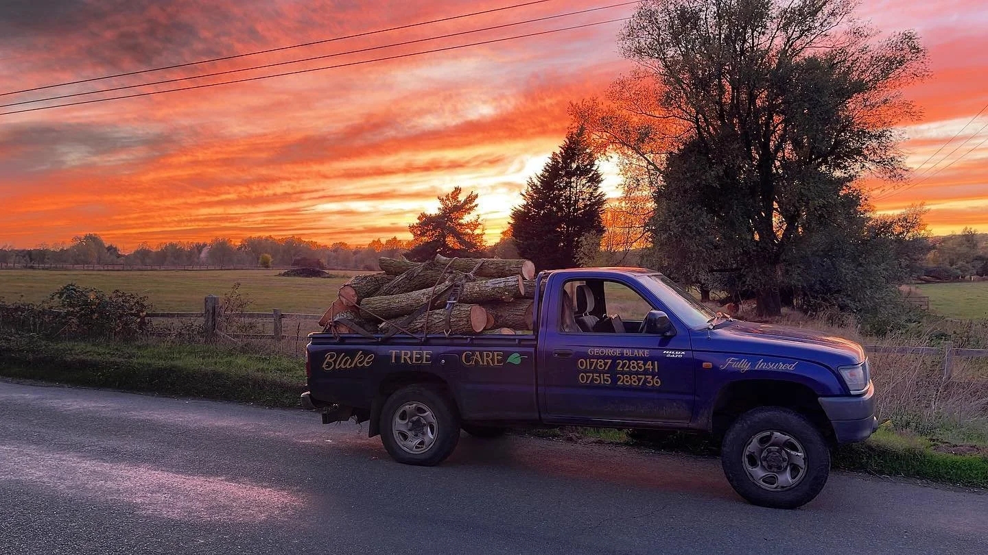 Blue pickup truck carrying cut logs parked on the side of a country road during a vibrant sunset with orange, pink, and purple sky.