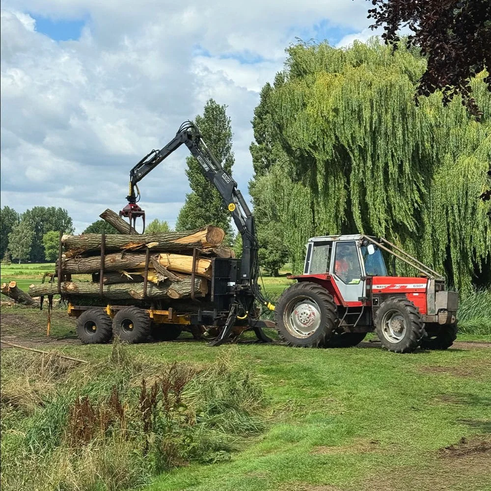 A tractor with a log loader attachment is loading cut logs onto a trailer in a rural landscape with green trees and grass.