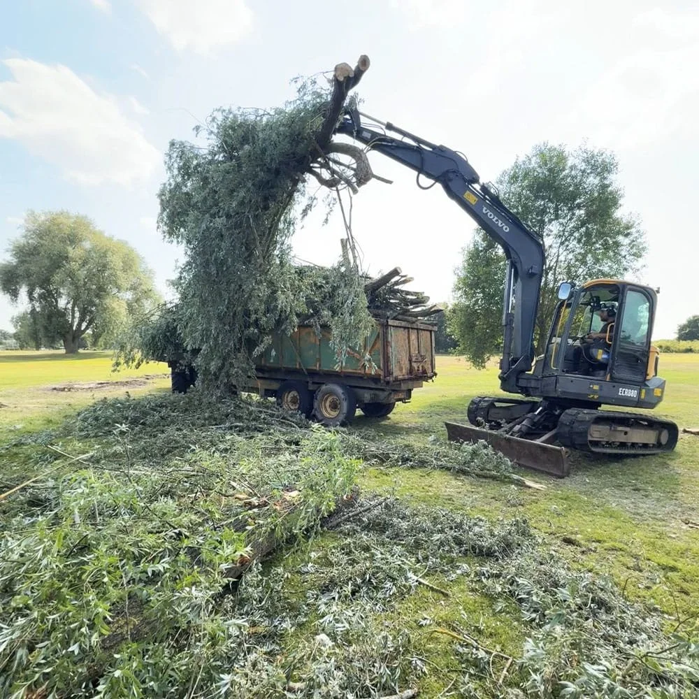 A backhoe loader is removing large tree branches and parts of a tree and clearing debris in a grassy field.