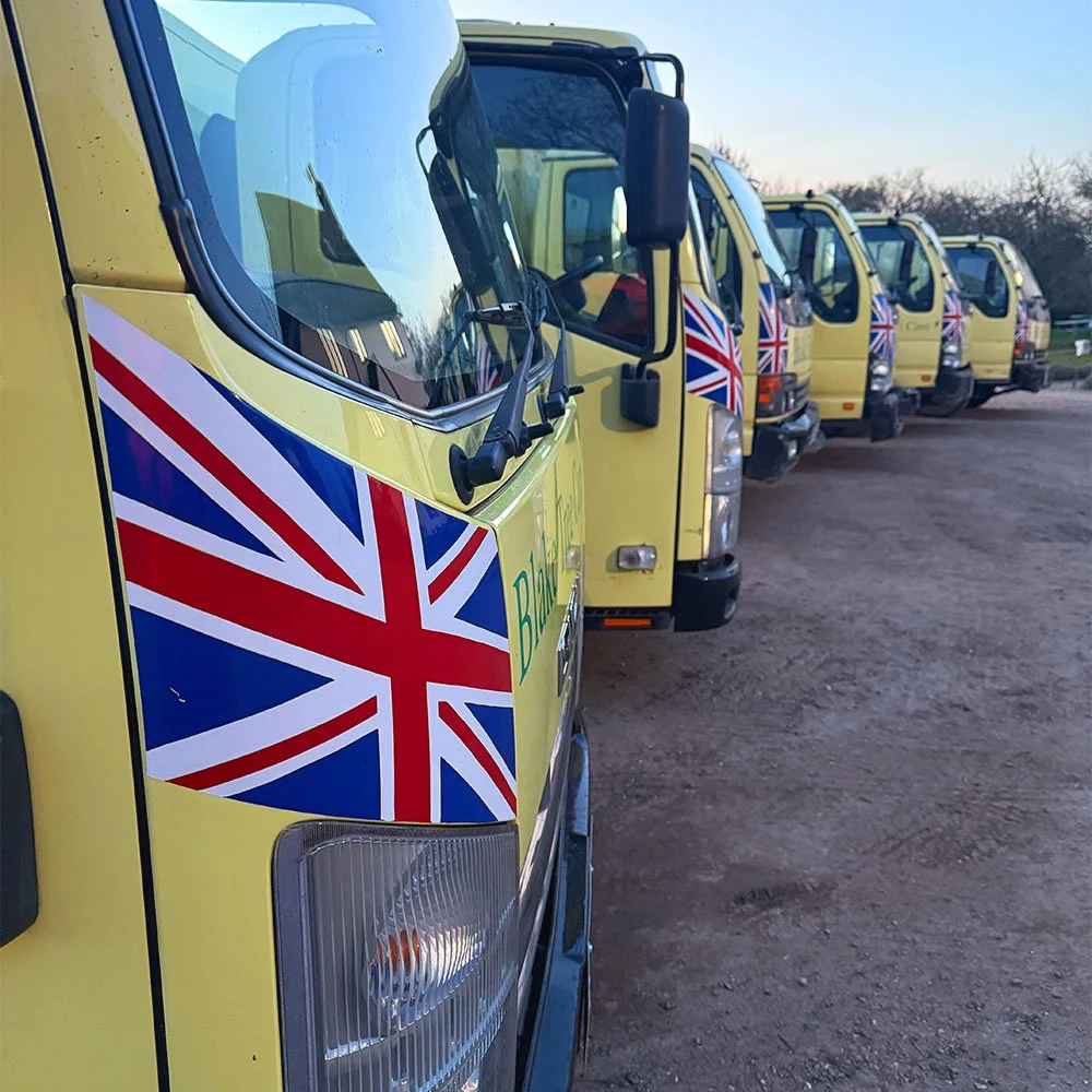 A row of yellow vans with British flags on their sides parked on a dirt ground, with trees and a clear sky in the background.