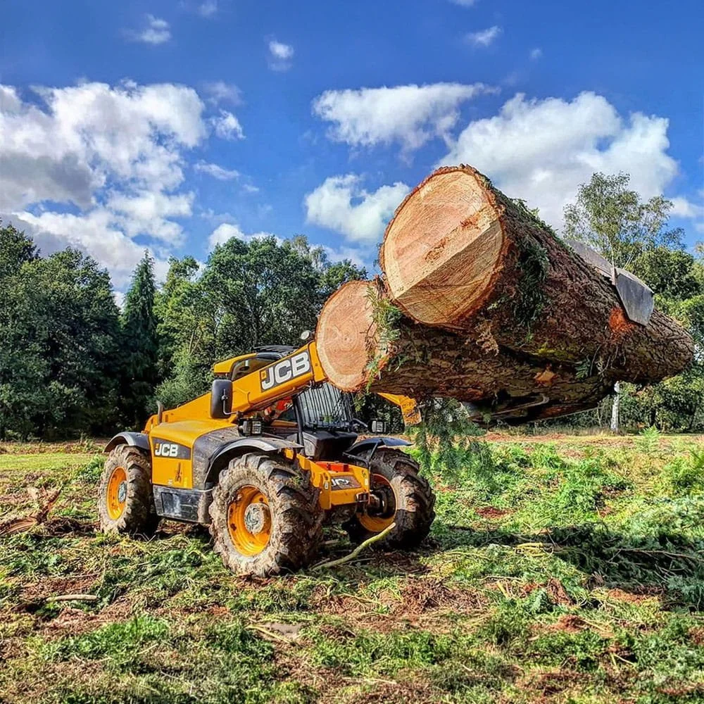 A large yellow JCB construction vehicle lifting a massive cut log in a wooded area under a blue sky with clouds.