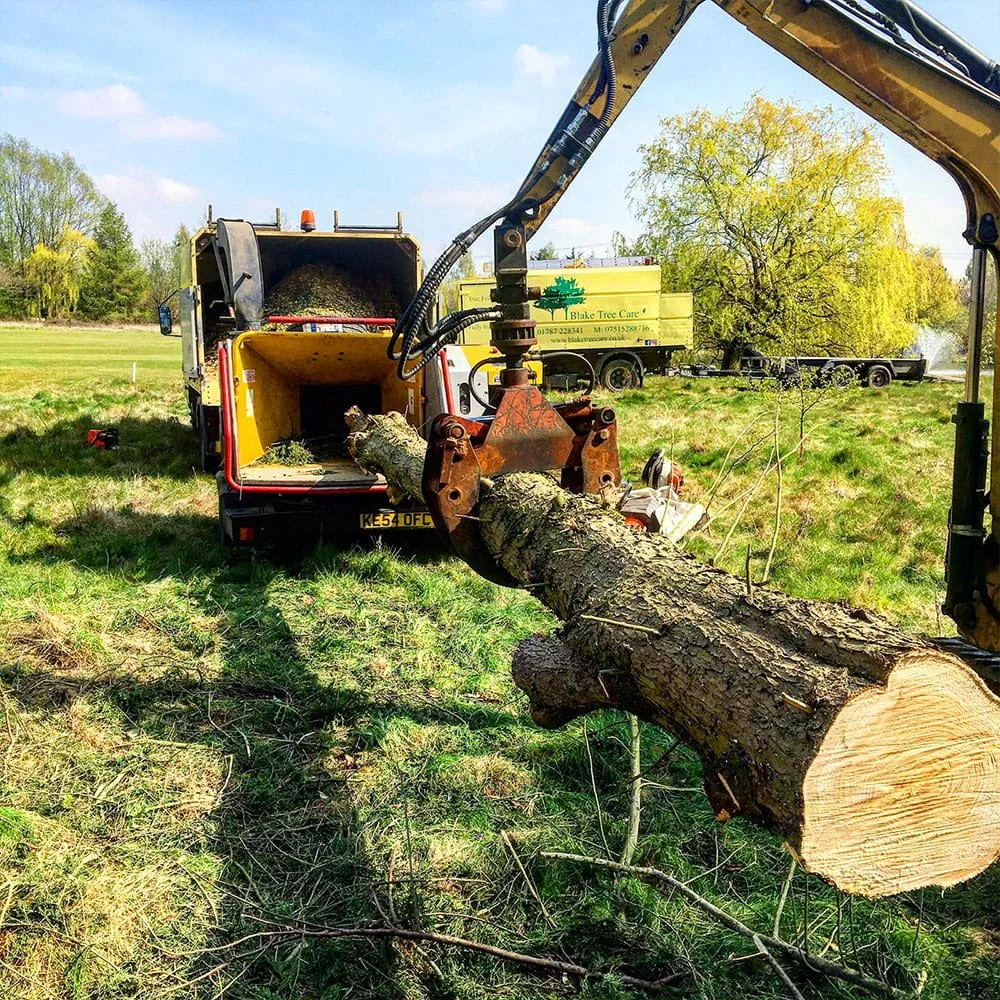 A large excavator is cutting a fallen tree in a grassy field with a wood chipping truck in the background.