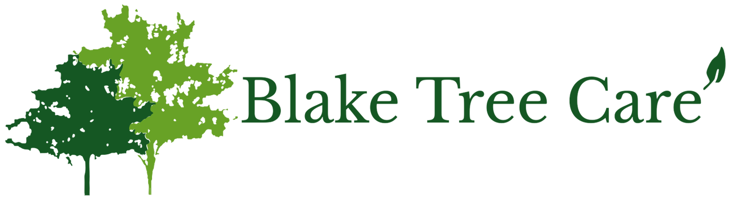Blake Tree Care